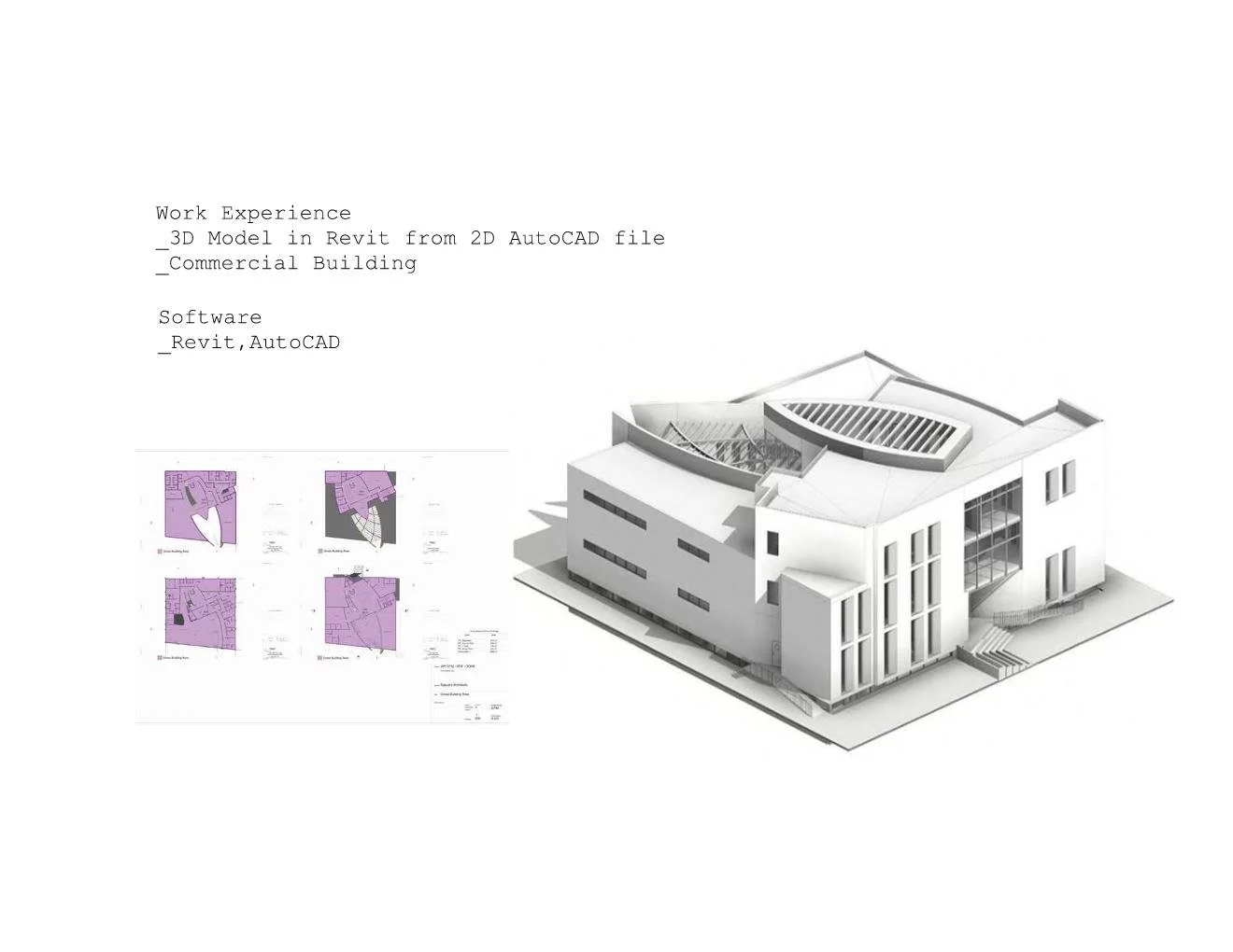 Portfolio-Zuzana Skelton-New Page 011.jpg
