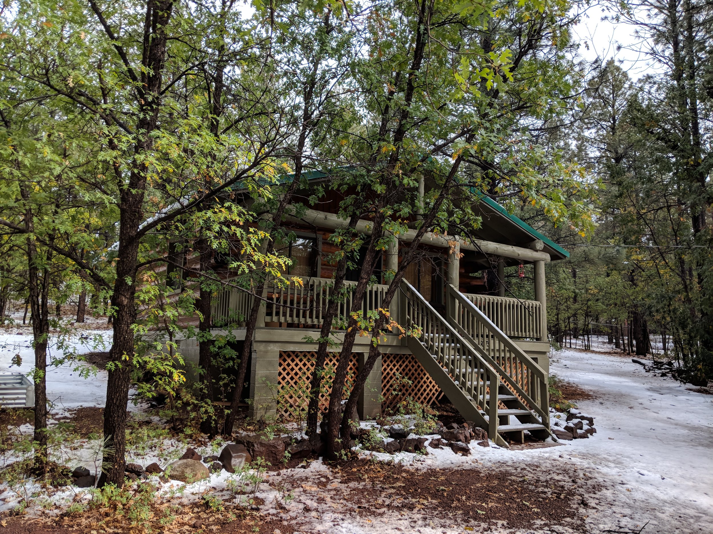 Cozy Cub Cabin Pinetop Az vacation rental
