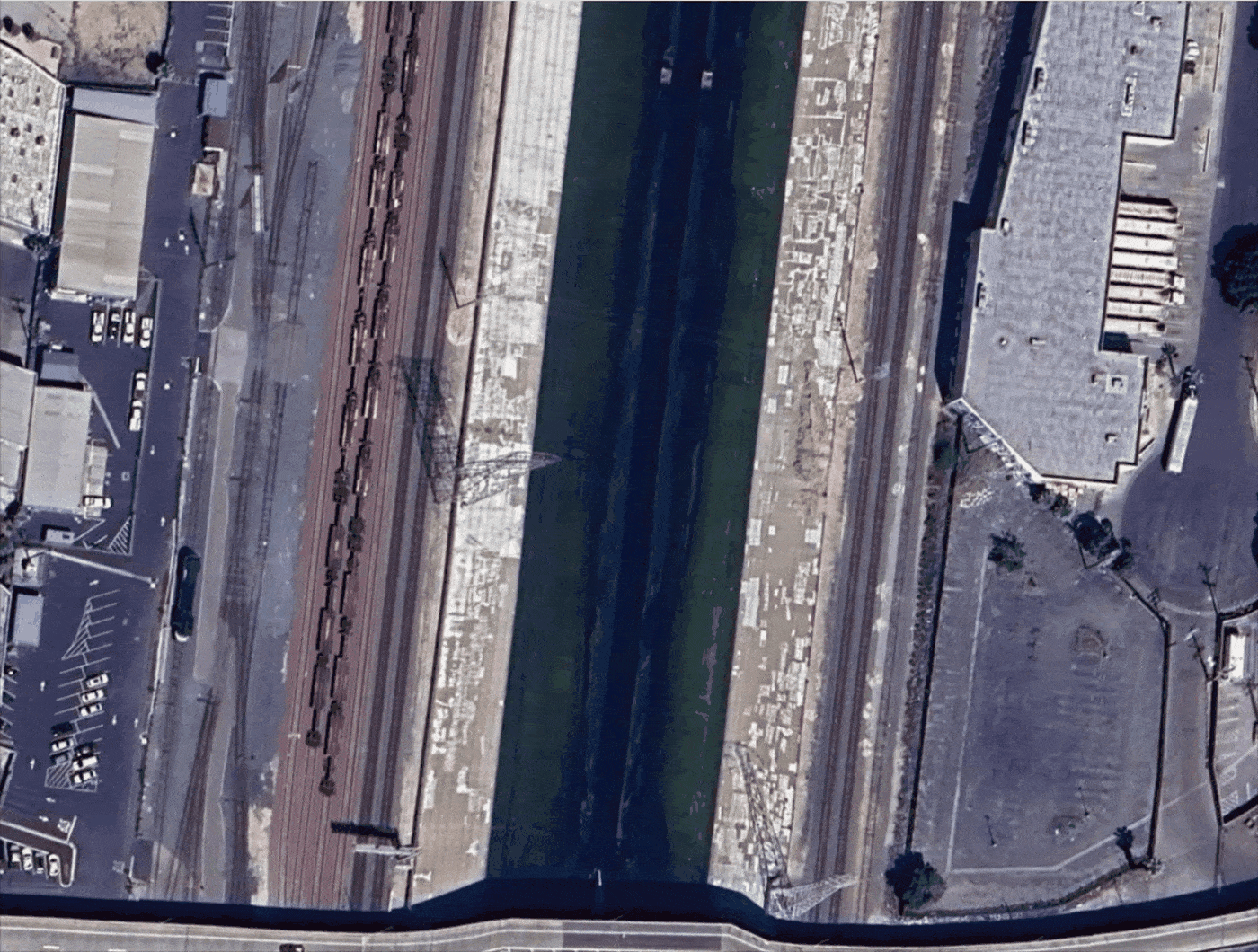 A guerrilla gardener installed a pop-up wetland in the LA River. Here's how — and why