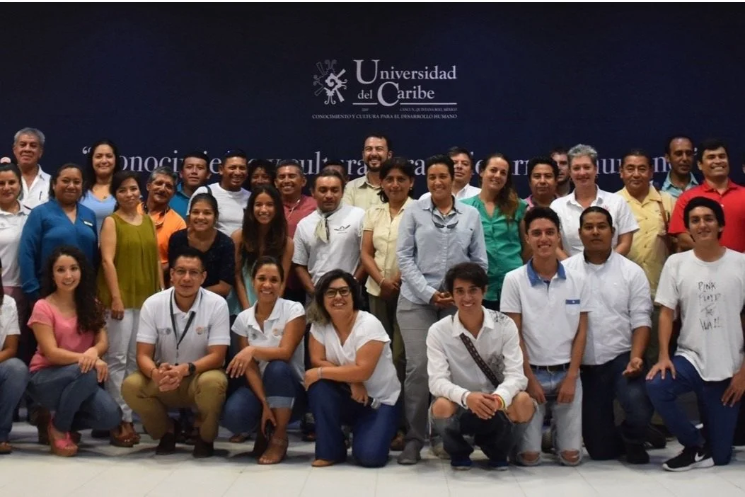 consulta publica.jpg