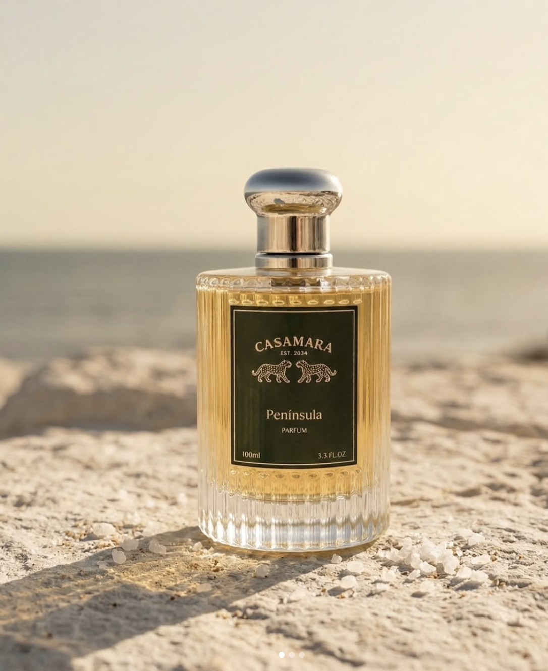 Captura de pantalla 2026-03-24 a la(s) 1.14.48 p.m..png