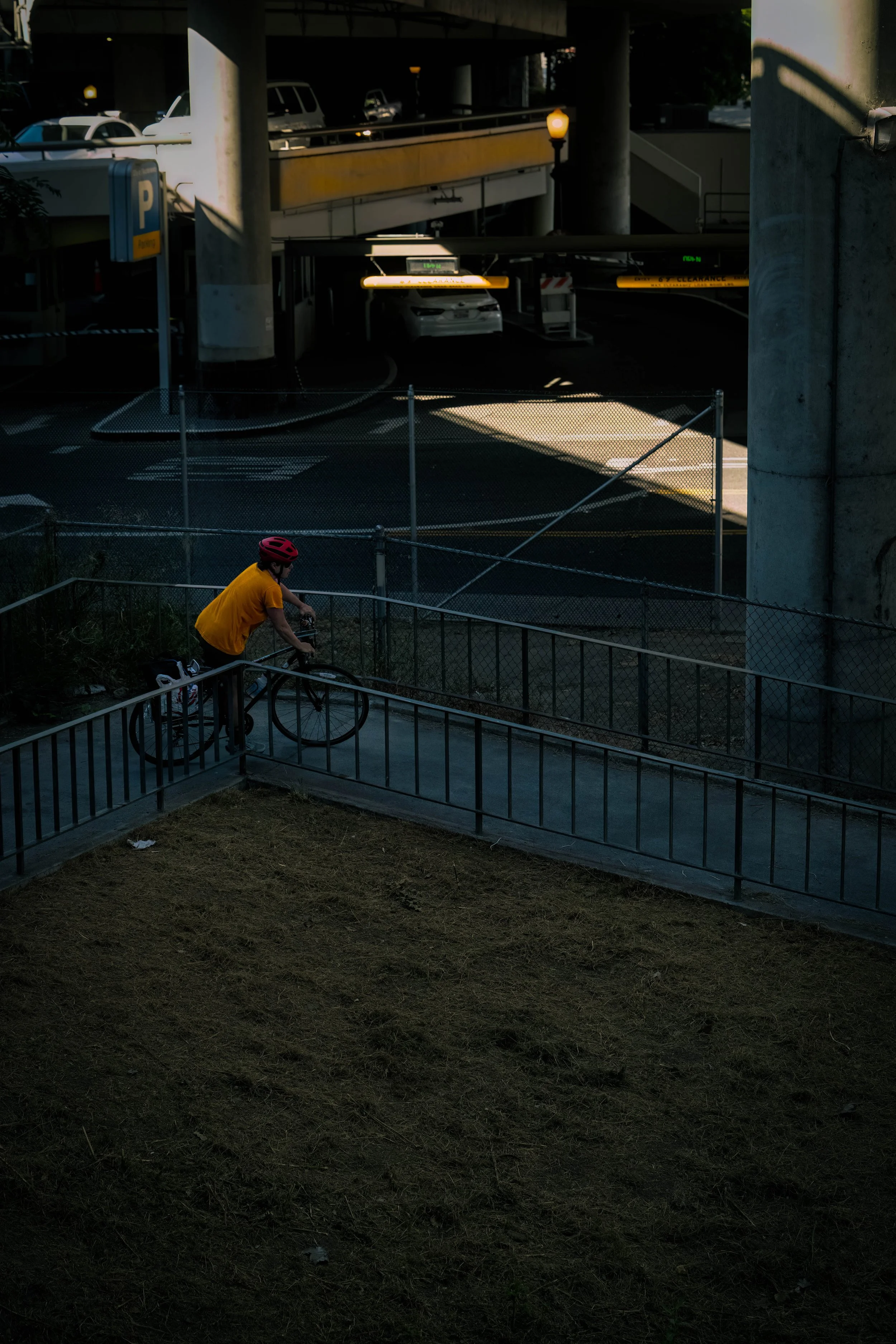 DSC_0520-Edit.jpg
