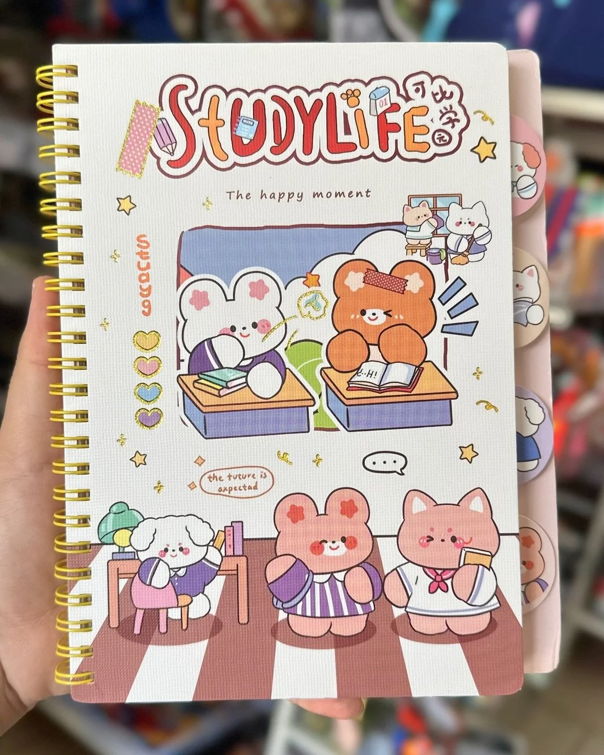 CADERNO STUDYLIFE