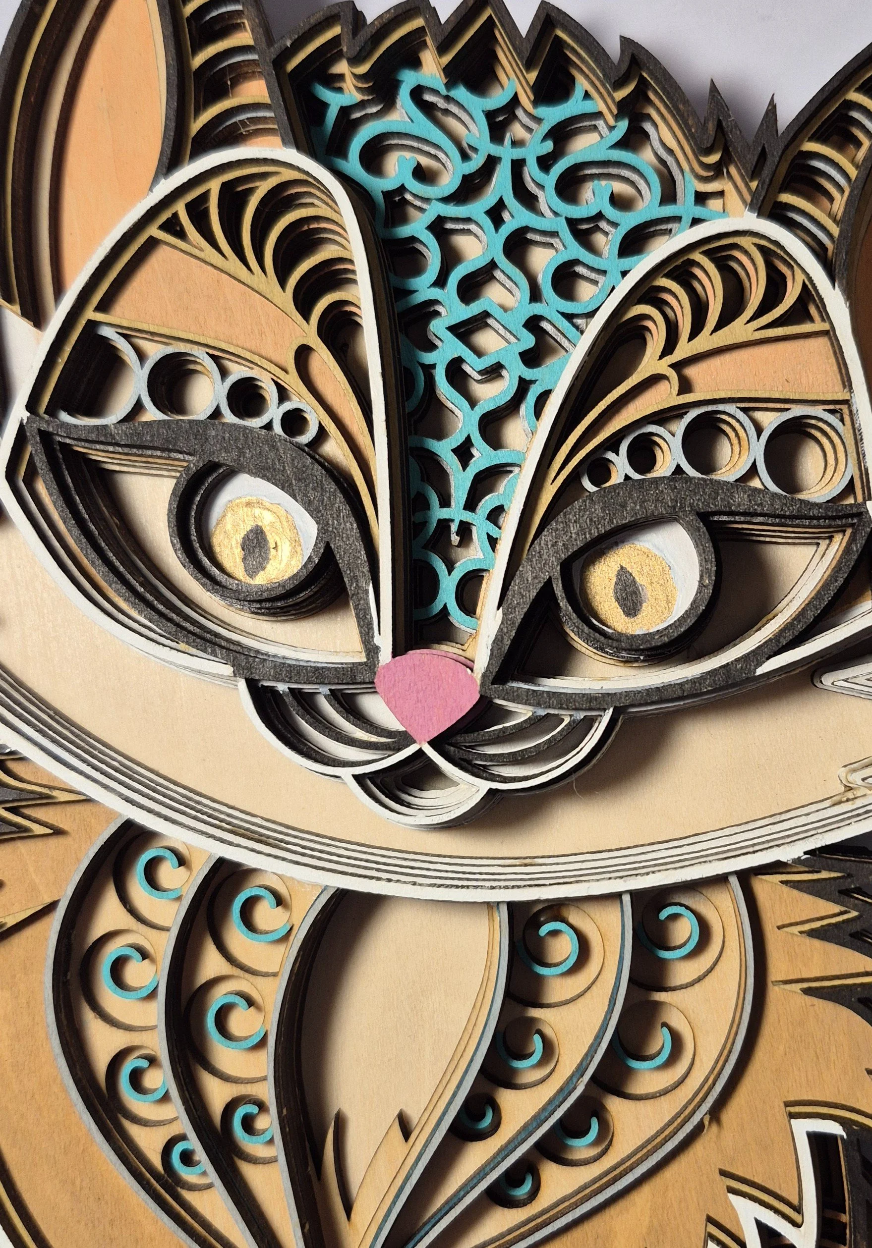 Cat Close up.jpg
