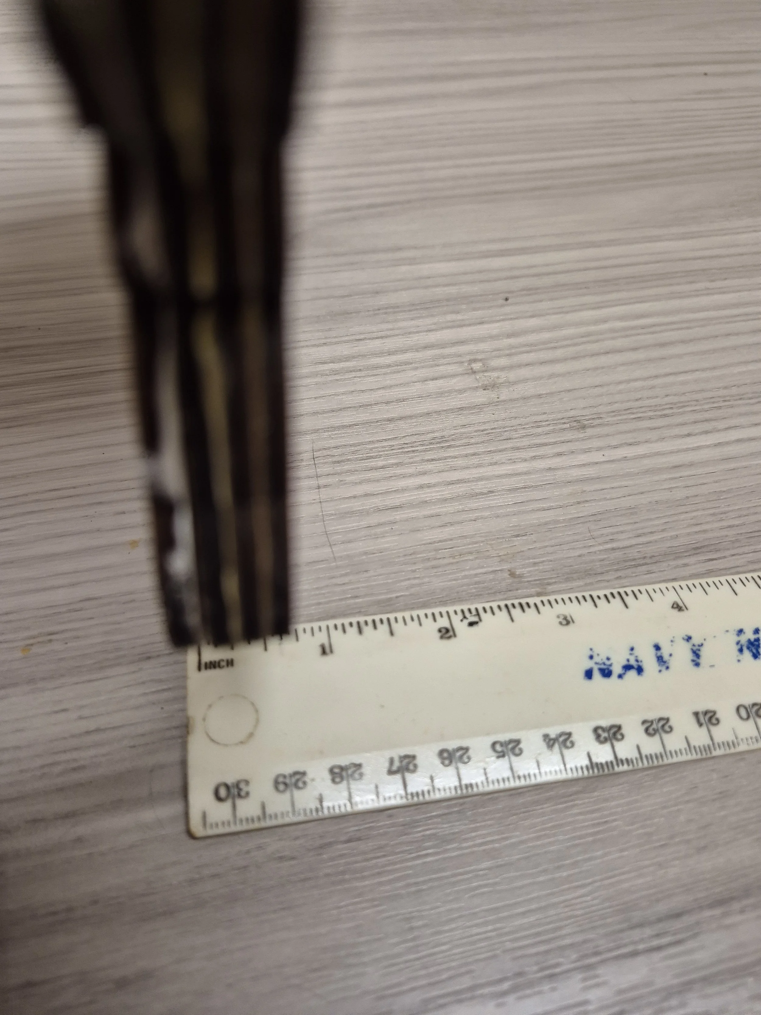 20250224_100432.jpg