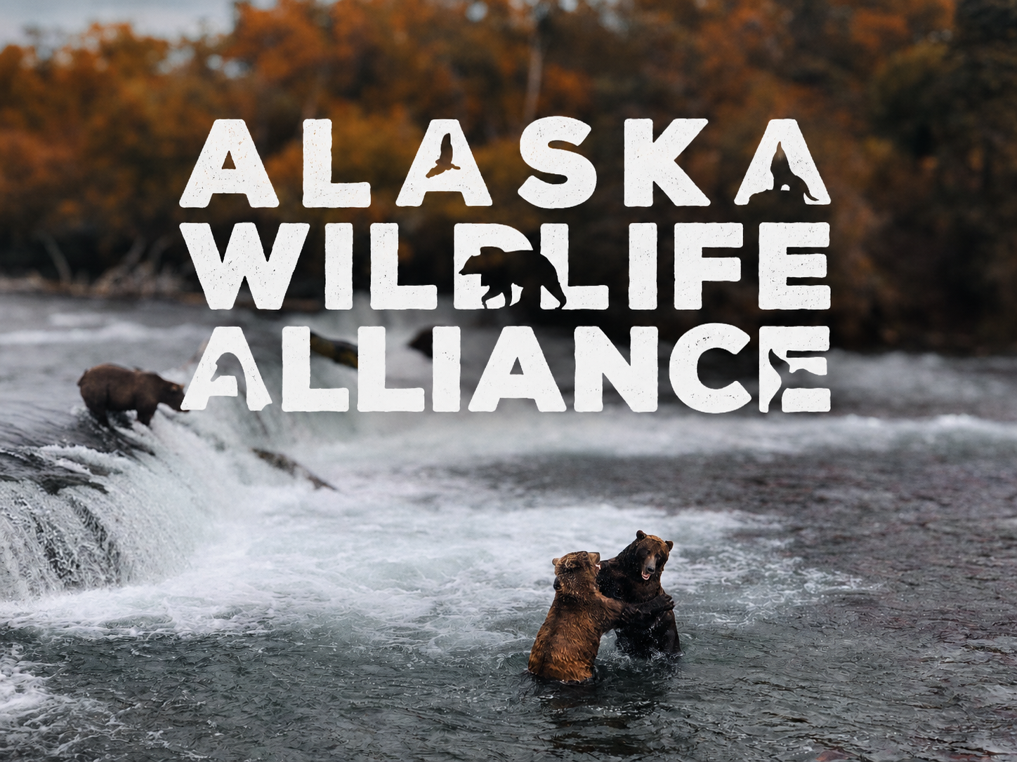 Why Conservation Should Be Part of Every Alaska Adventure