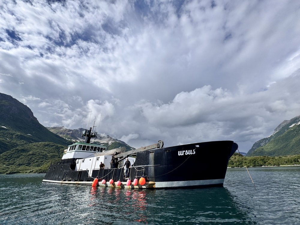 M/V Ursus on the Katmai Coast
