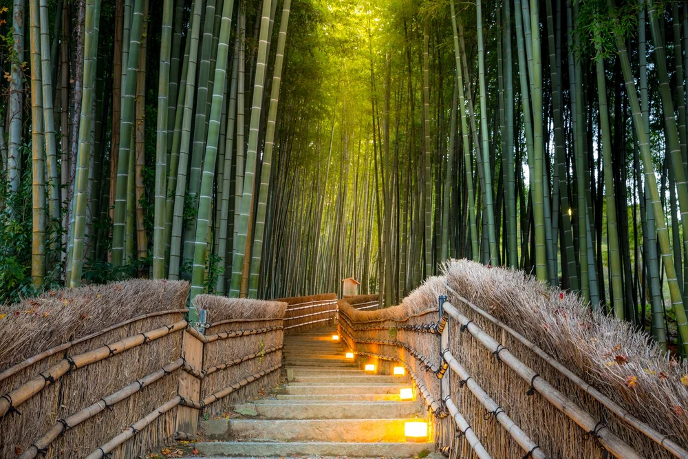 Path through Arashiyama’s bamboo forest in Kyoto