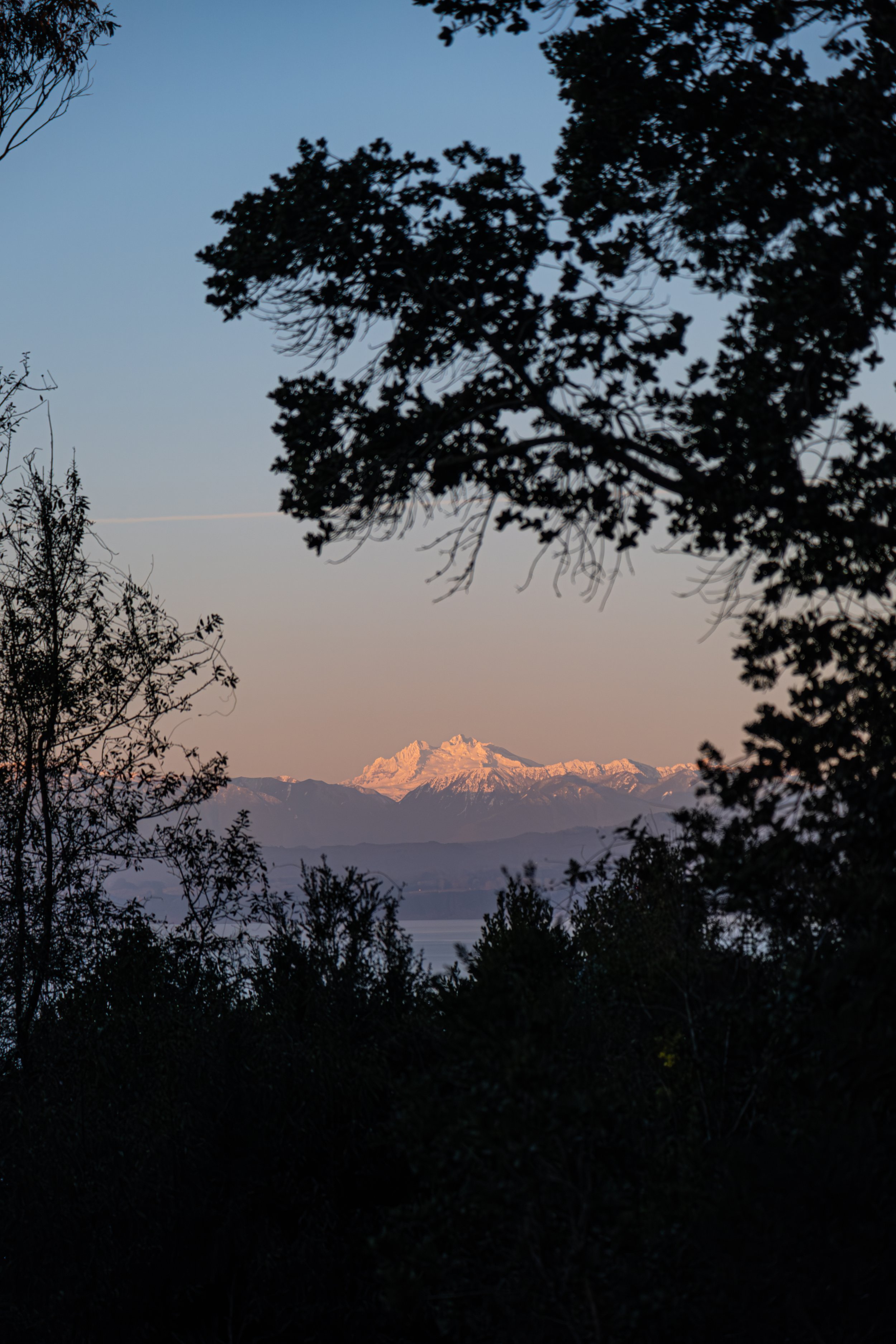DSCF1316-Aprimorado-NR.jpg