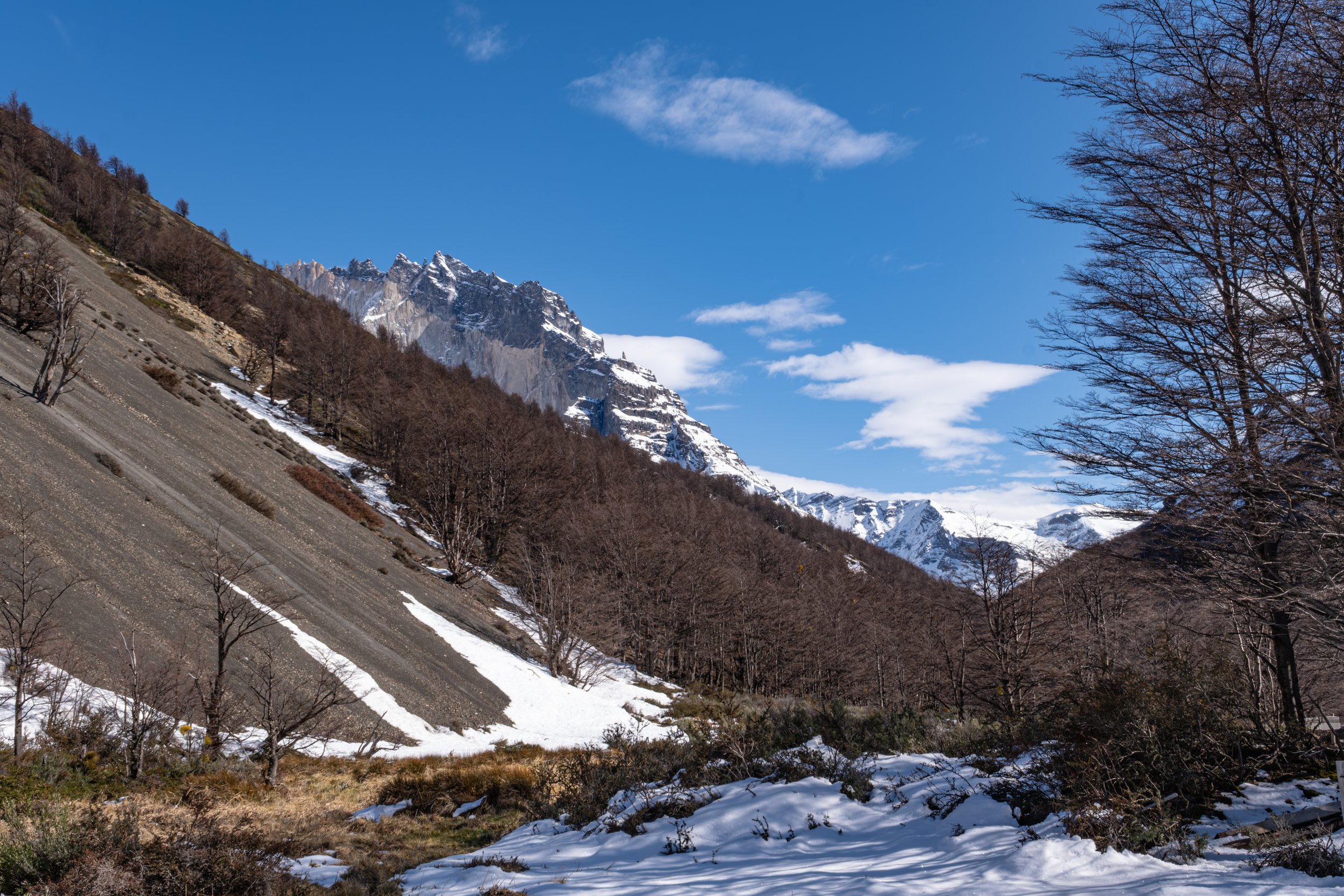 DSCF2959-Aprimorado-NR.jpg