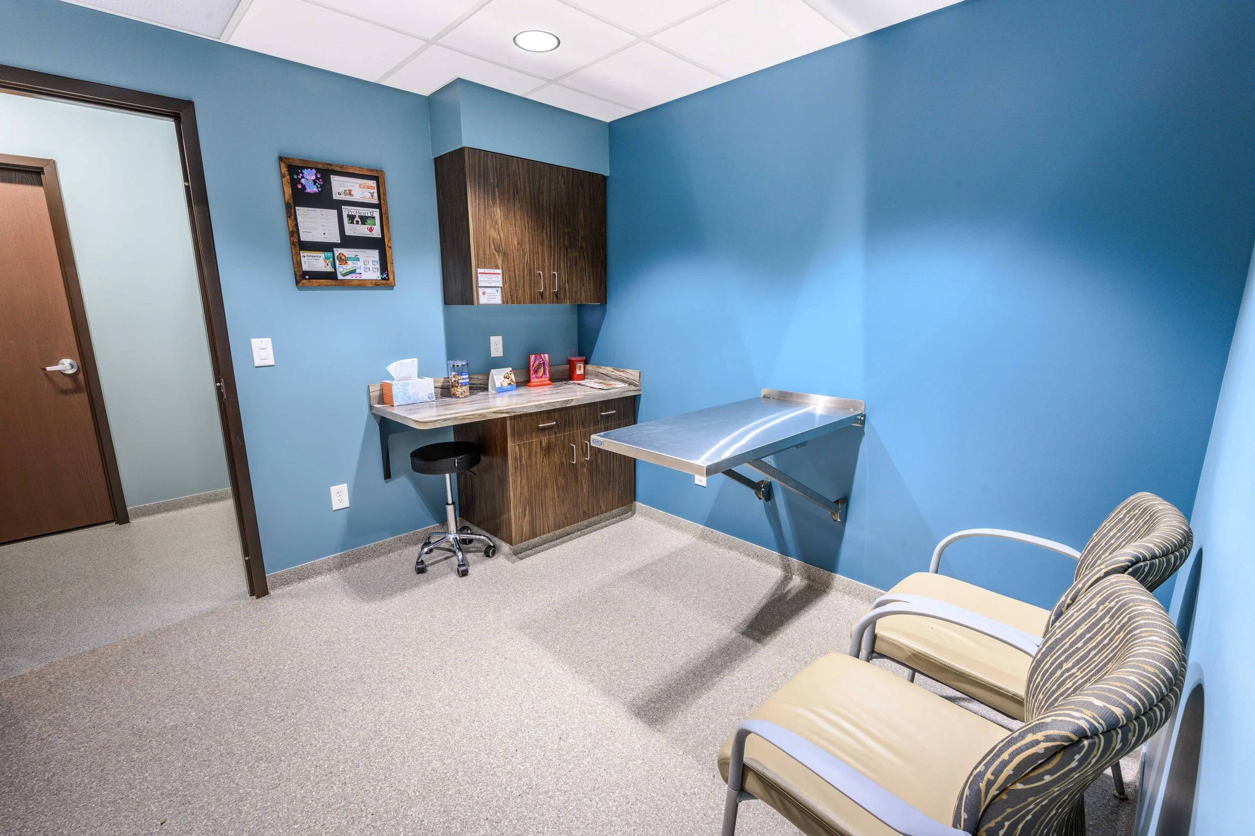 OrionAnimalHospital_Examroom1 - Downsized.jpg