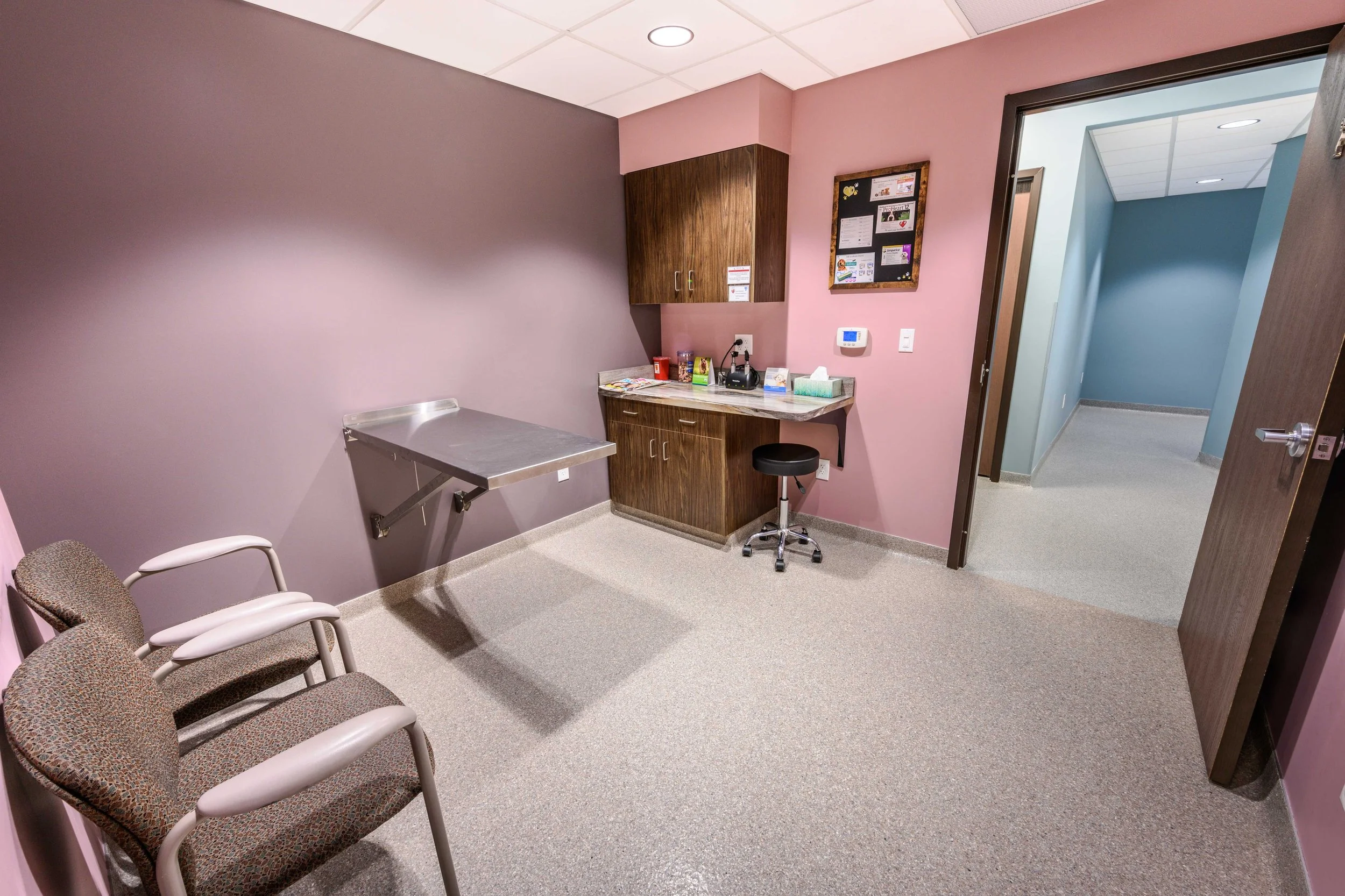 OrionAnimalHospital_Examroom2 - Downsized.jpg