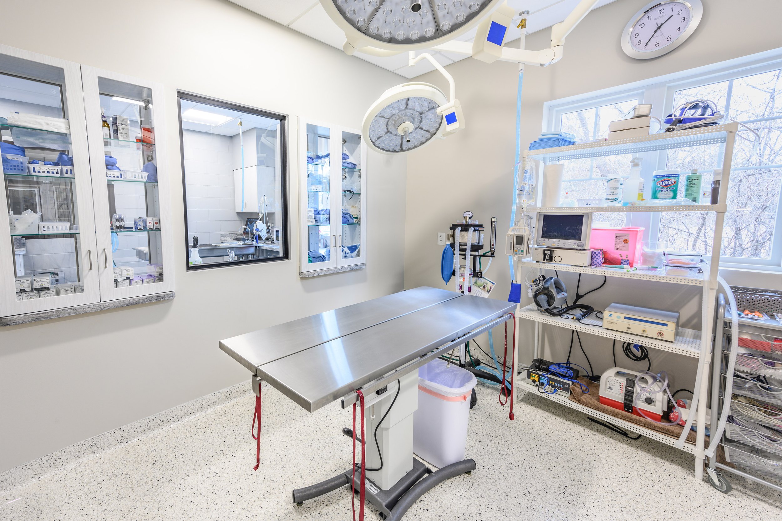 OrionAnimalHospital_surgery3-downsize.jpg