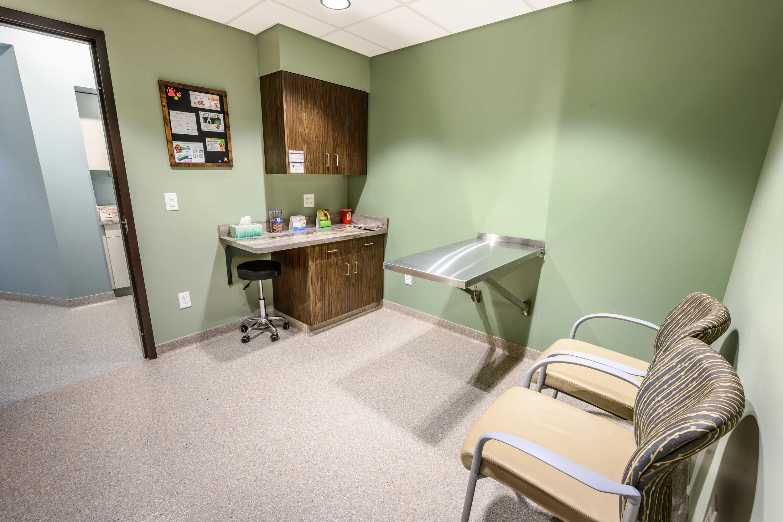 OrionAnimalHospital_Examroom3 - Downsized.jpg