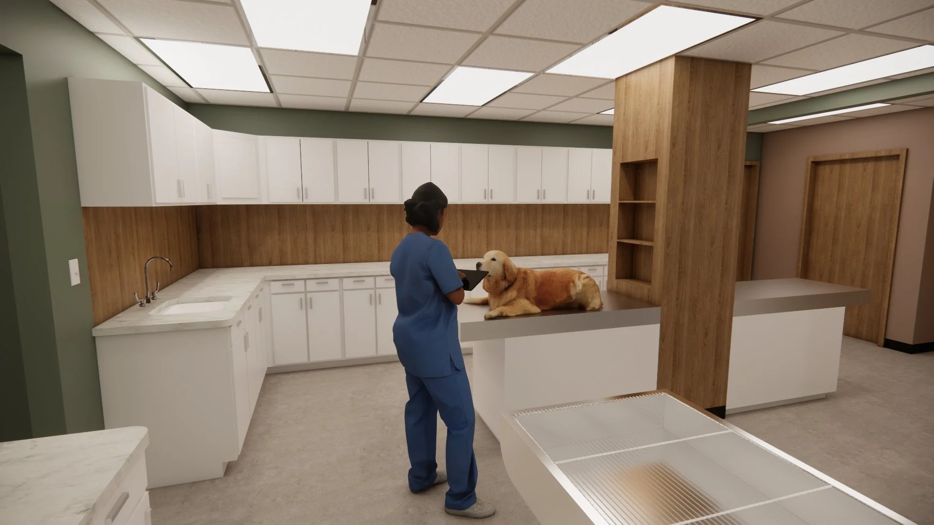 Lakeland Triage Area 1