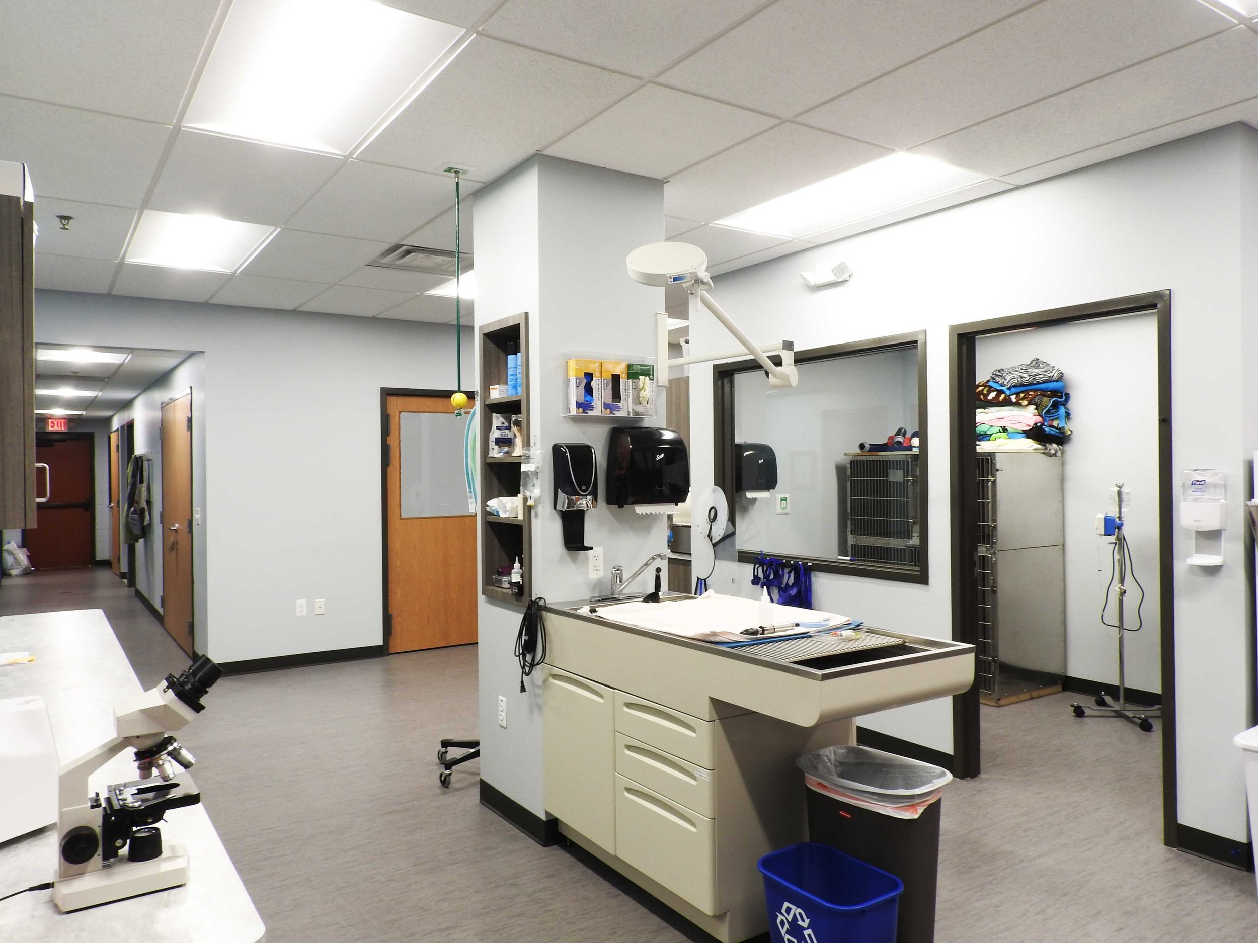 Treatment Area 2.jpg