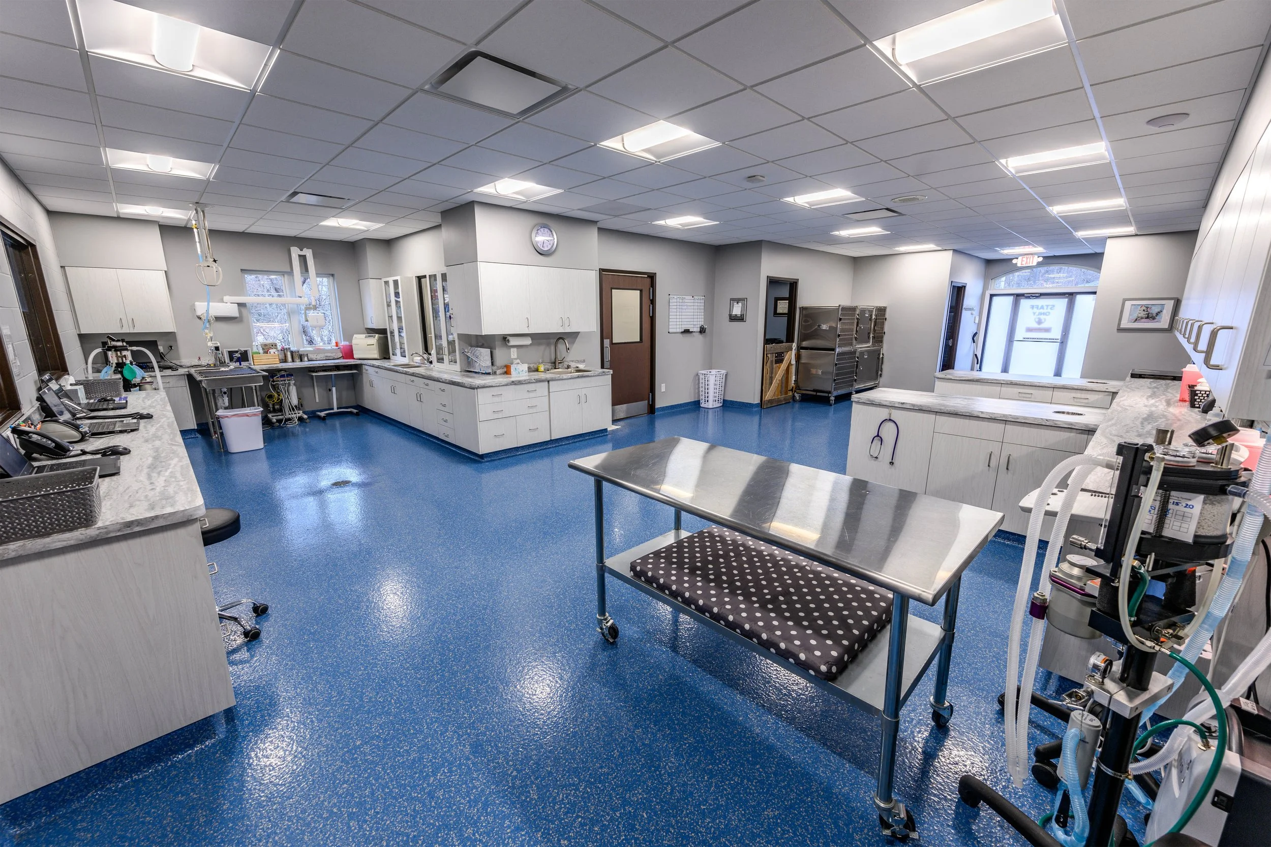 OrionAnimalHospital_ICU4-downsize.jpg