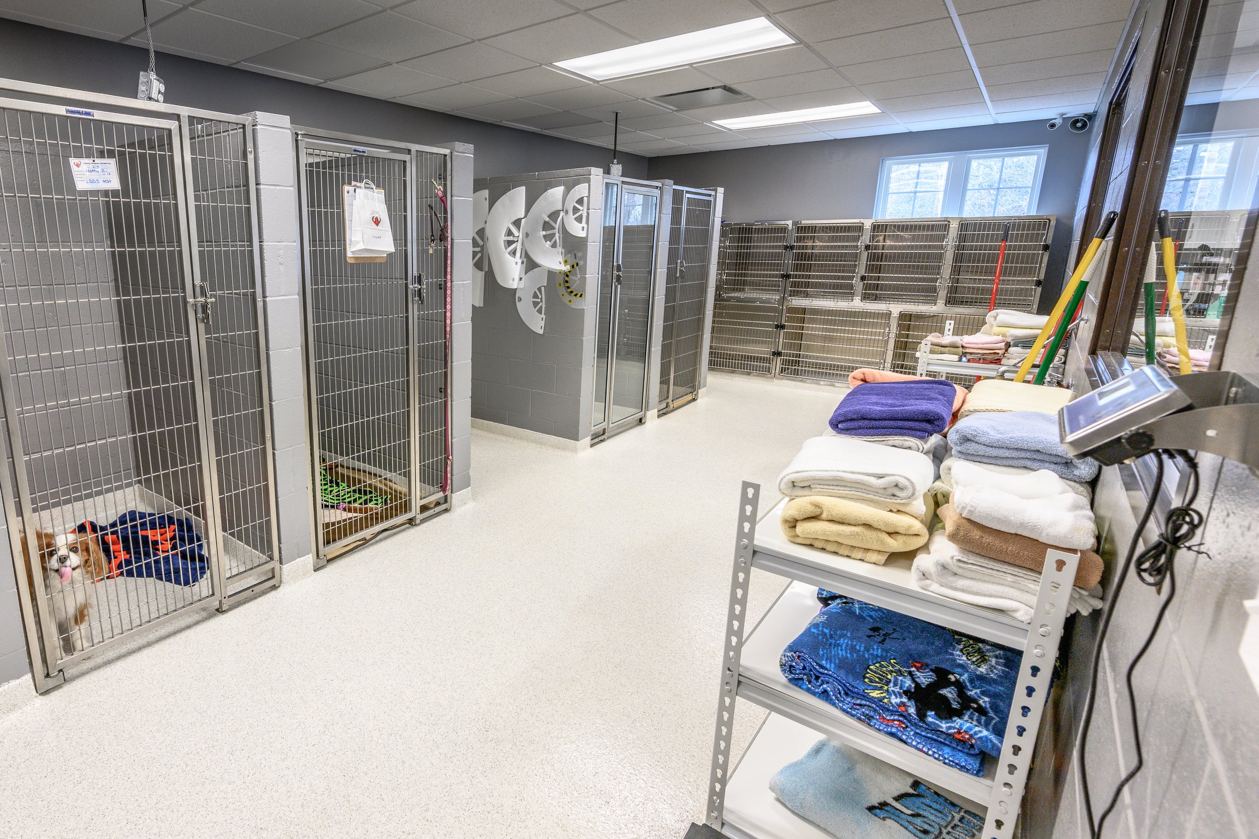 OrionAnimalHospital_Kennel2.jpg