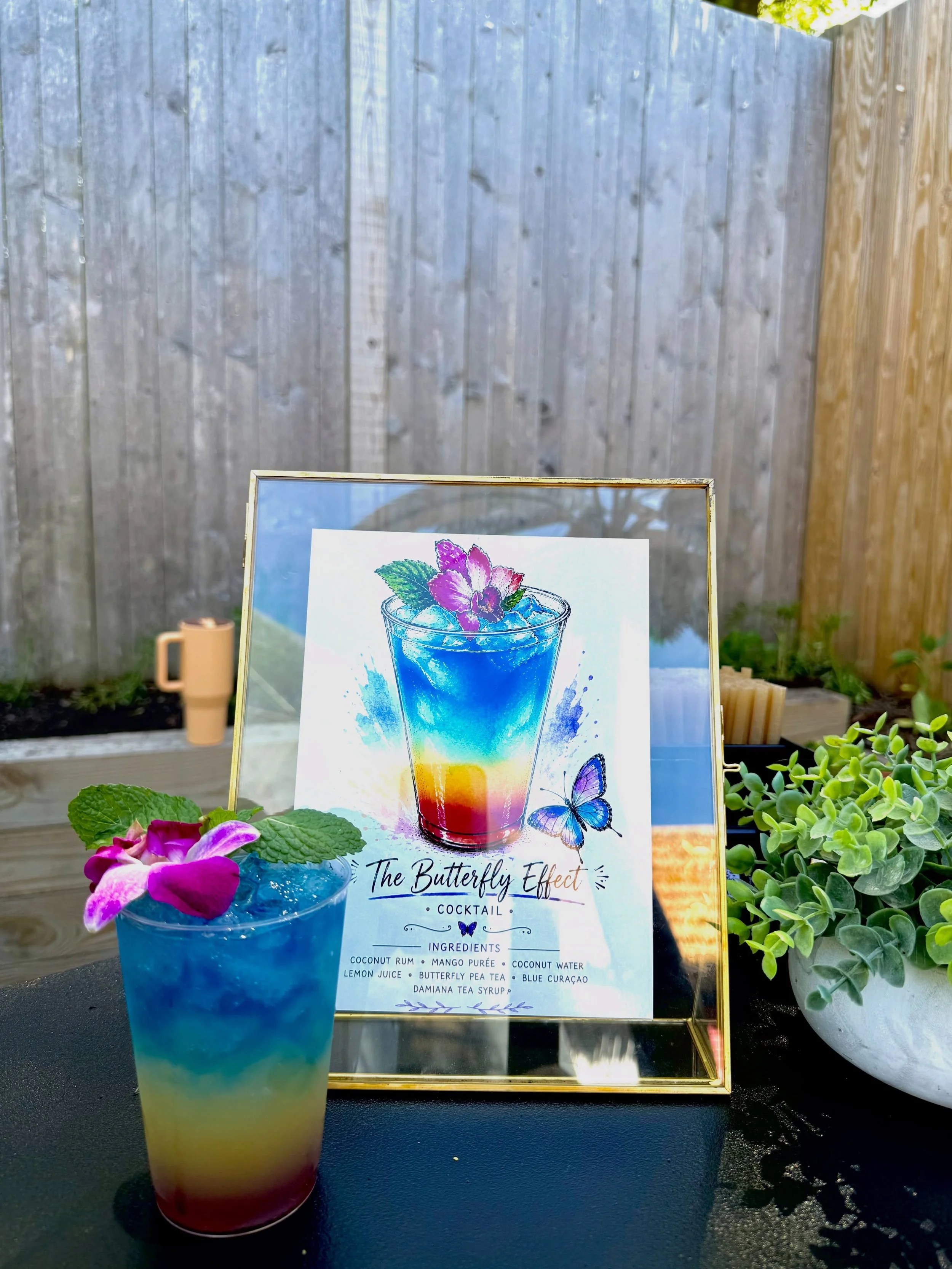 Thank you to The Stone Zoo for allowing us to be apart of their &ldquo;Ales &amp; Tails&rdquo; event for the VIP section!! 🐯🦩🐒🍺

&bull;Featured is our specialty cocktail &ldquo;The Butterfly Effect&rdquo; 

&bull; Inquire on our website for your 