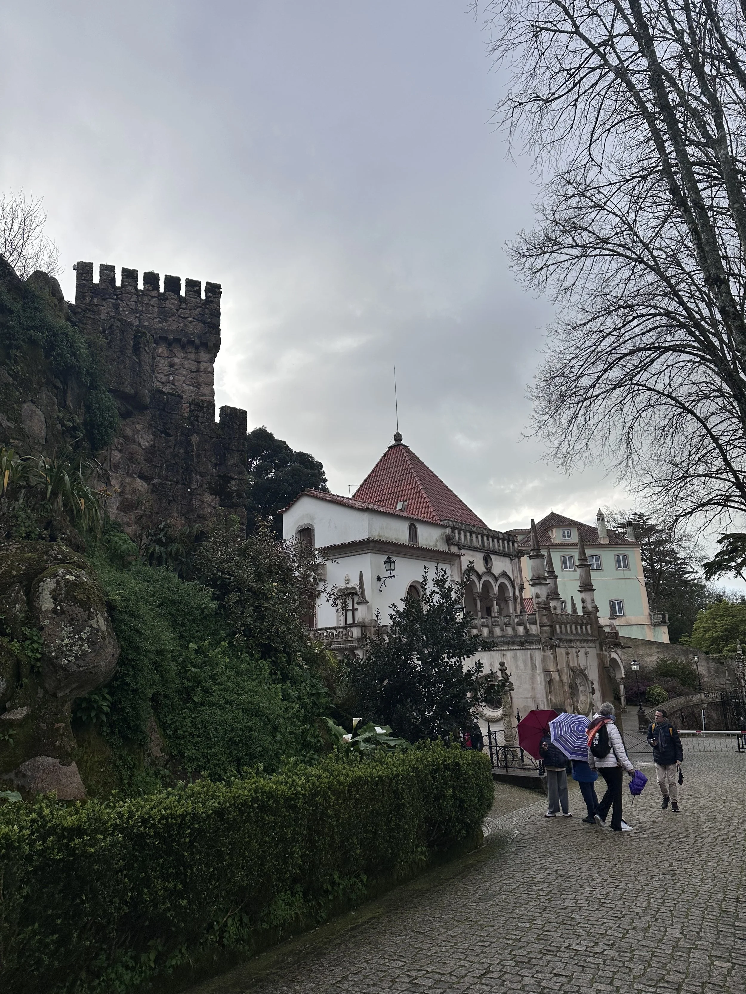 IMG_8404.jpeg