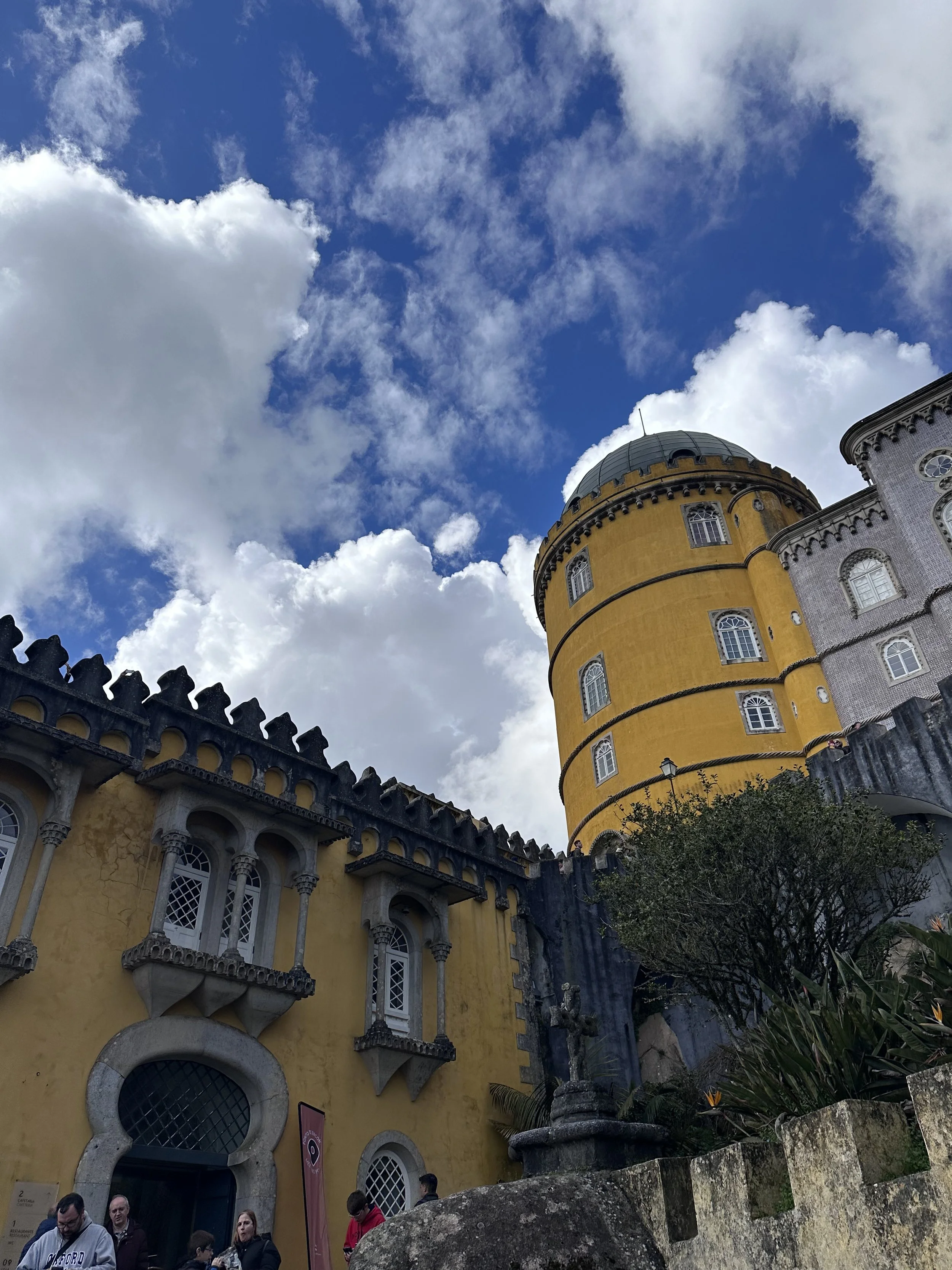IMG_8335.jpeg