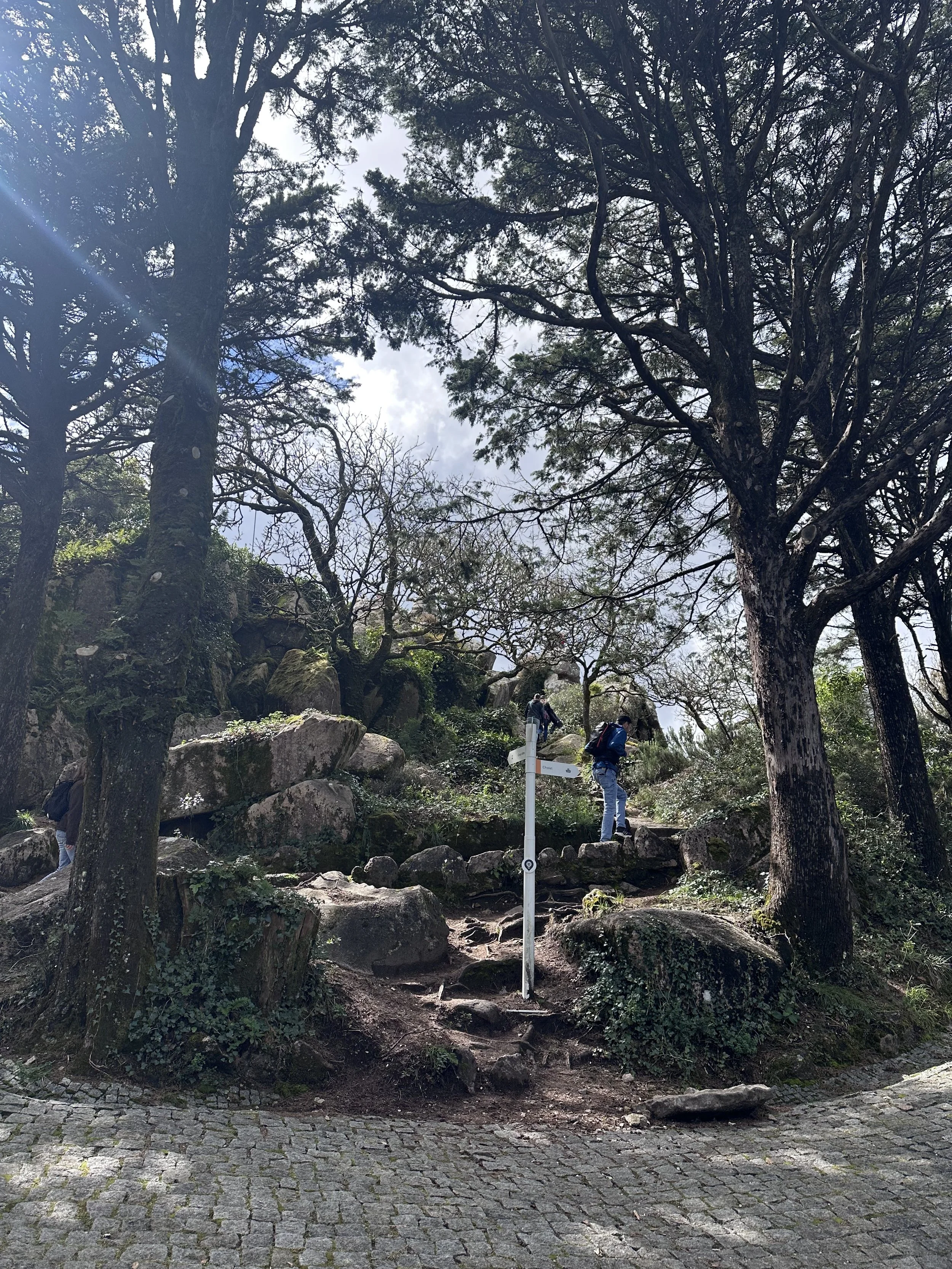 IMG_8354.jpeg