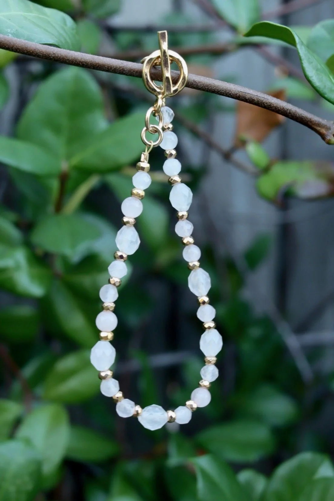 IMG_1831.jpeg (Copy)