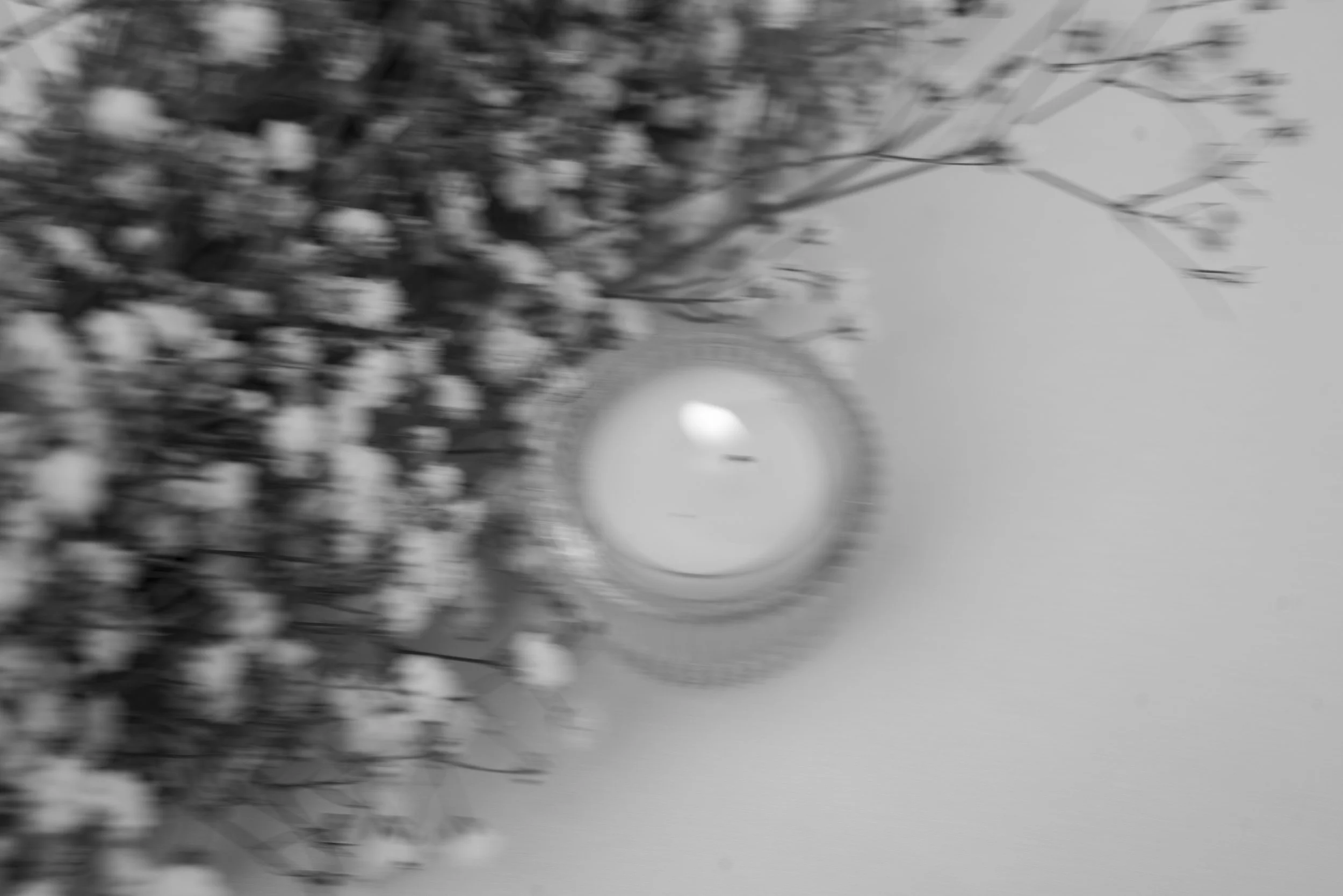 export-63.jpg