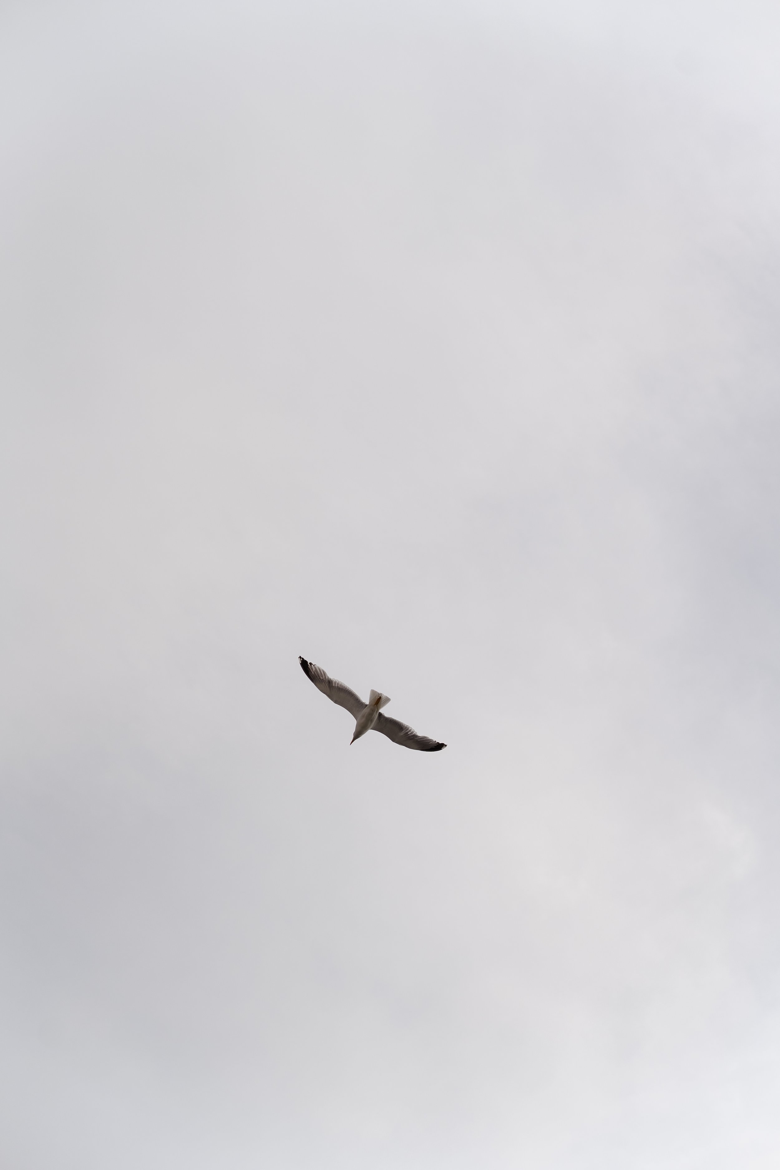 Wed H&A-151.jpg