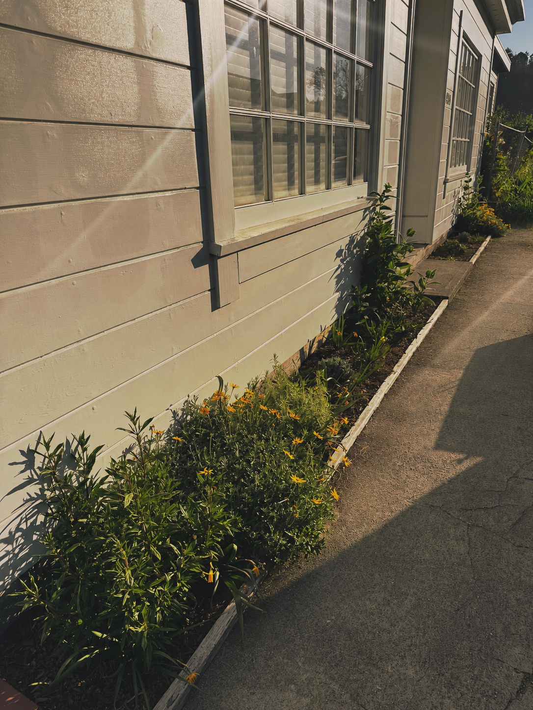 D83CC147-29AA-441A-9C1E-218ADF76BE6B.png