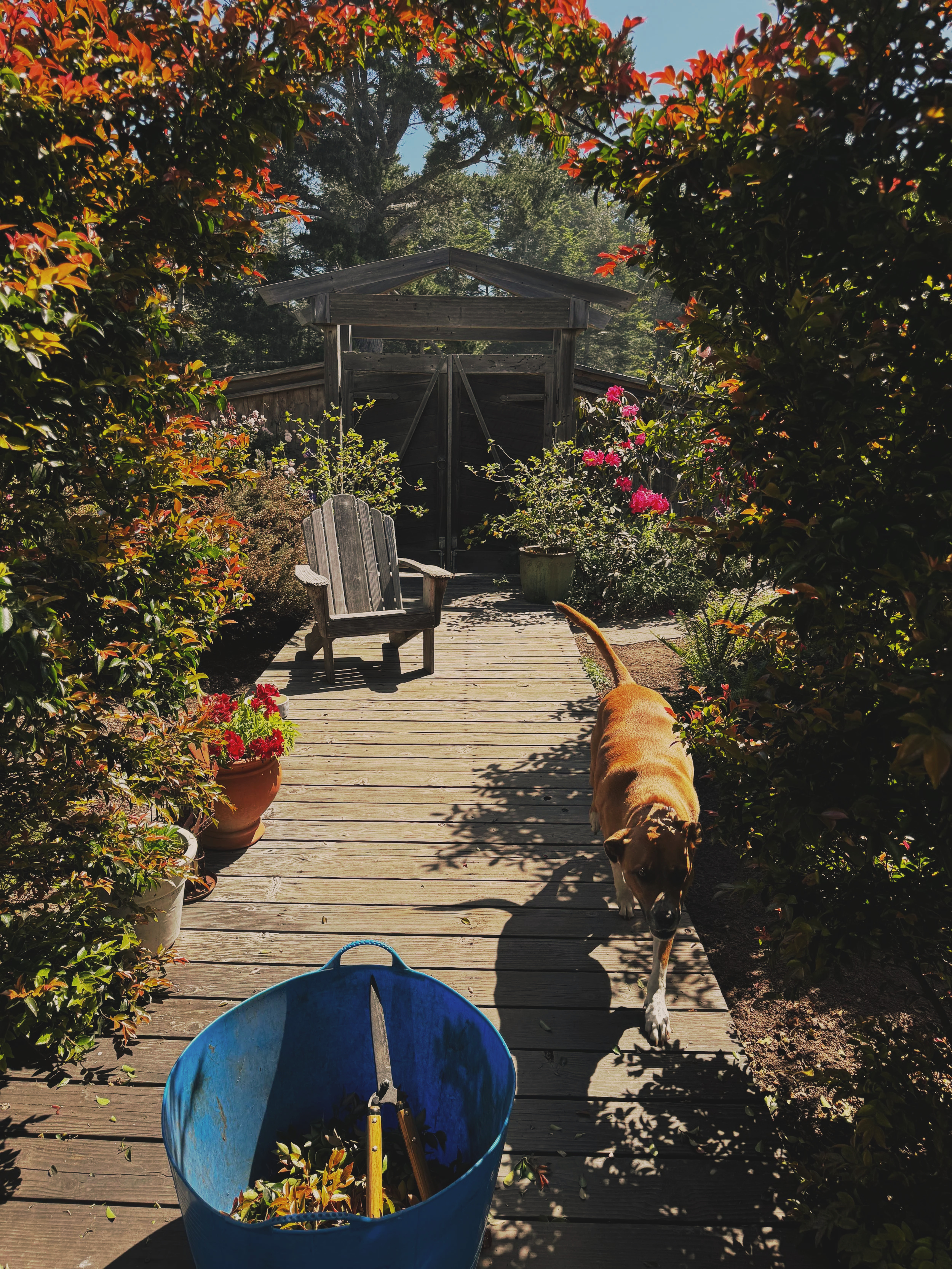 IMG_6835.png