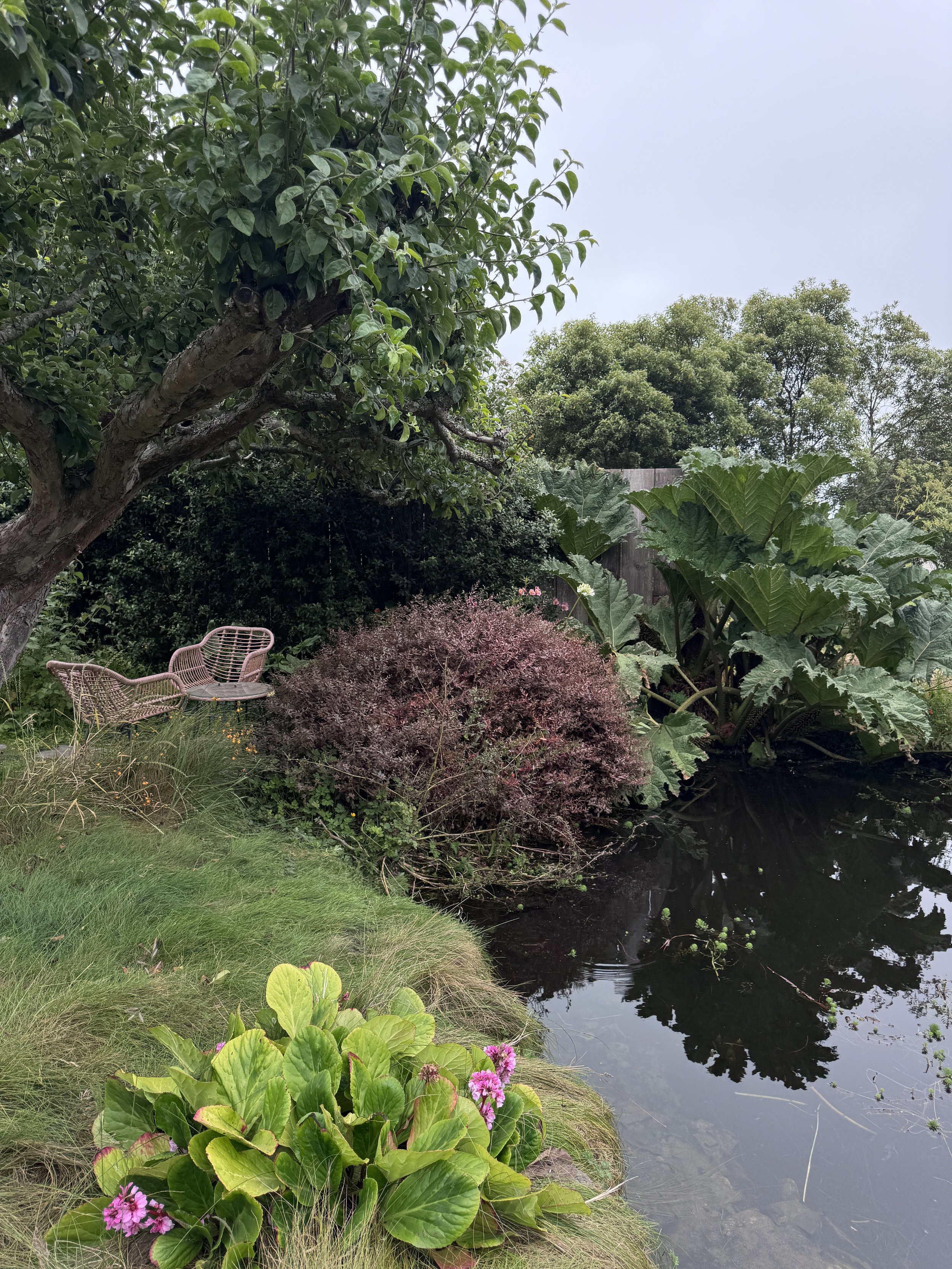 IMG_0853.JPEG