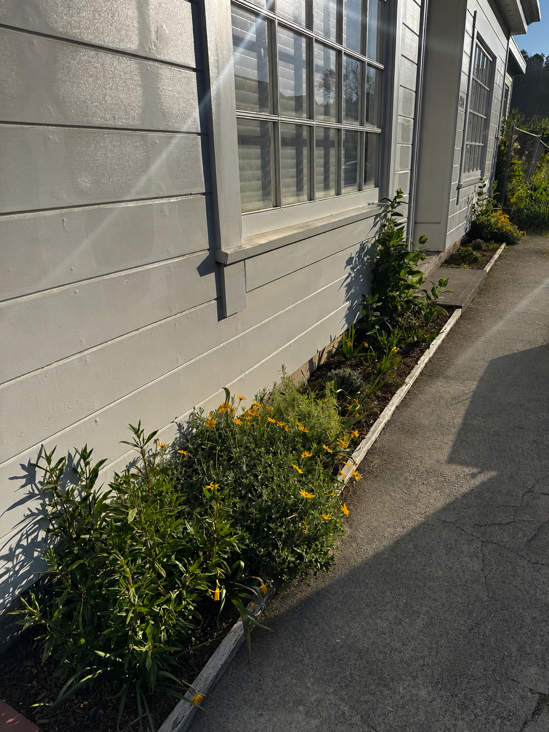 Mendocino Street-Side
