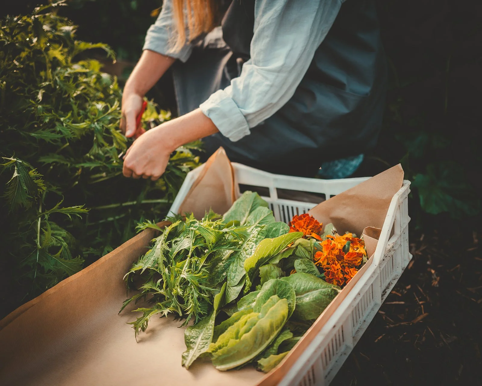 Monkstone Farmers Market