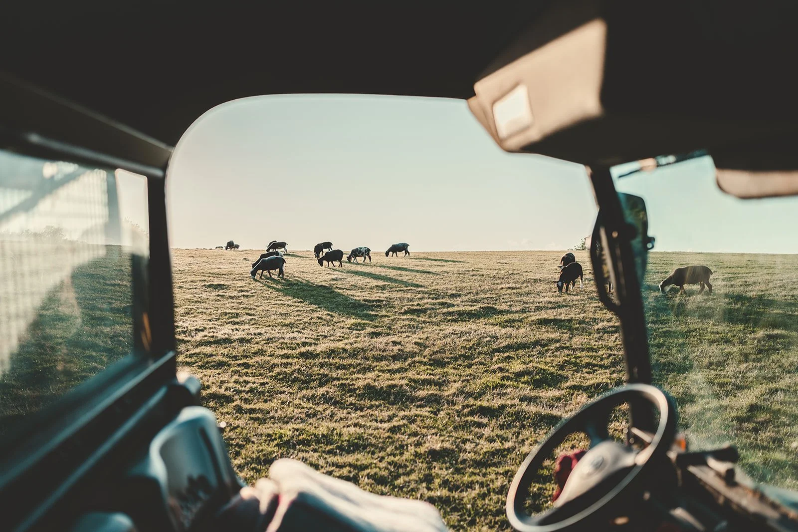 Pre Order February Trevayne Farm Lamb Roasting Joint