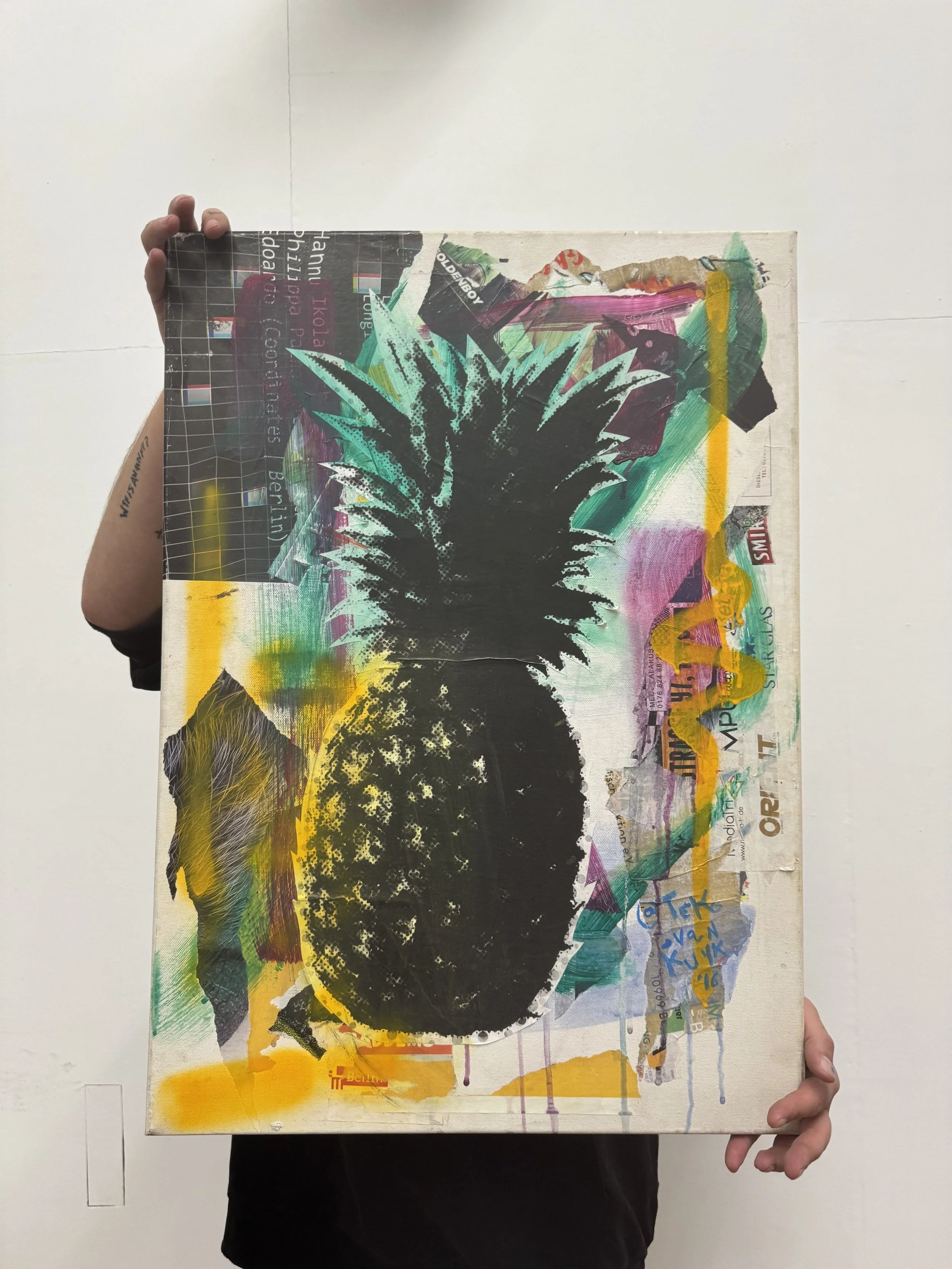 pineapple collage 2 svk 2016 e.jpg