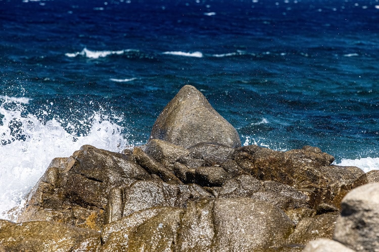 Trust the Rock: God’s Kingdom Will Prevail Over All