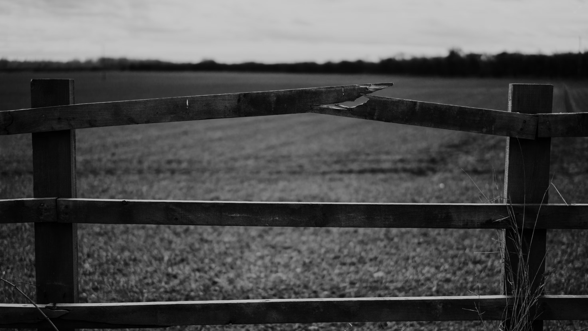 Why Does God Allow Pain and Suffering? A Series on the Most Googled Questions