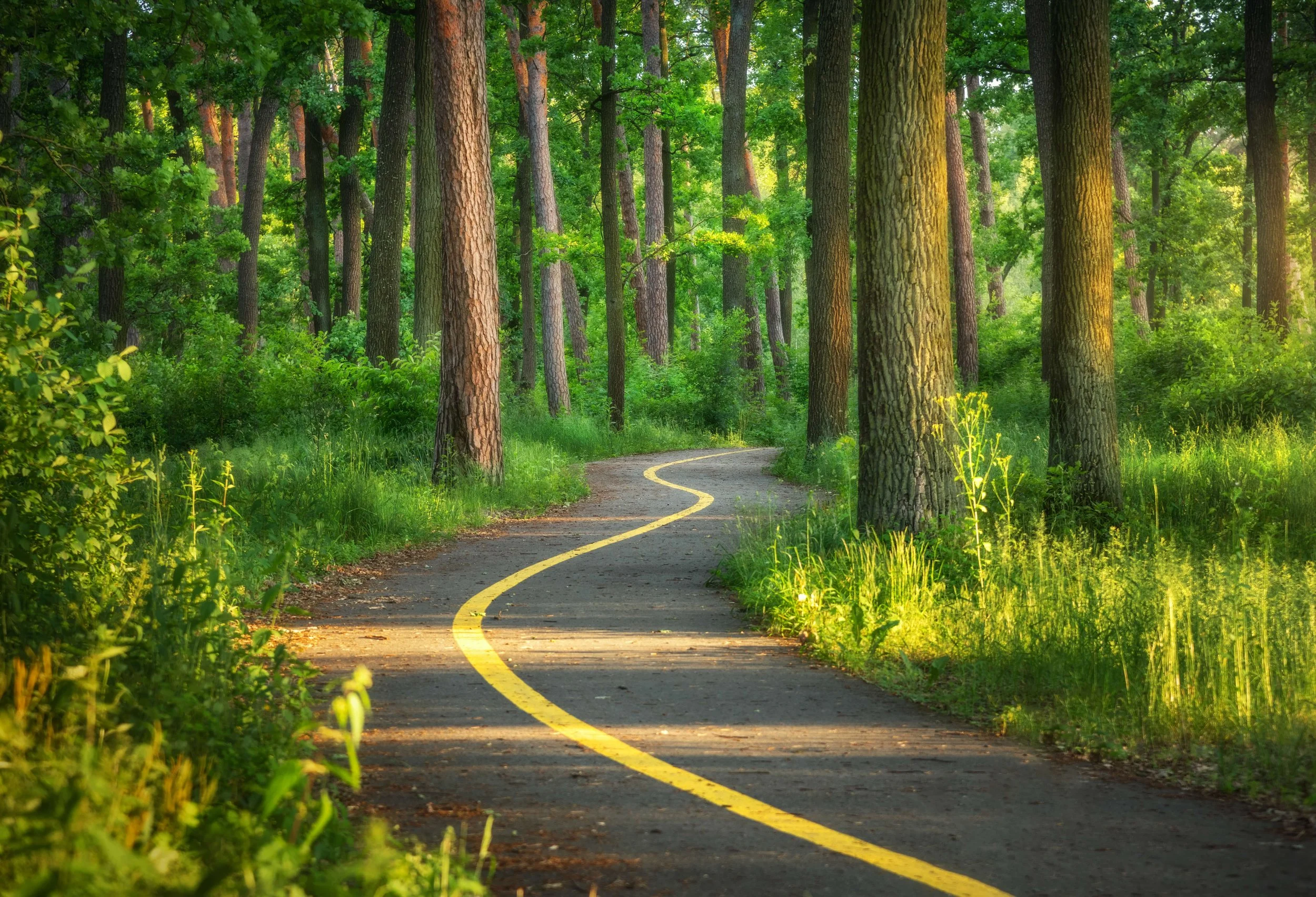 The Power of Change: What Trait Did You Choose?