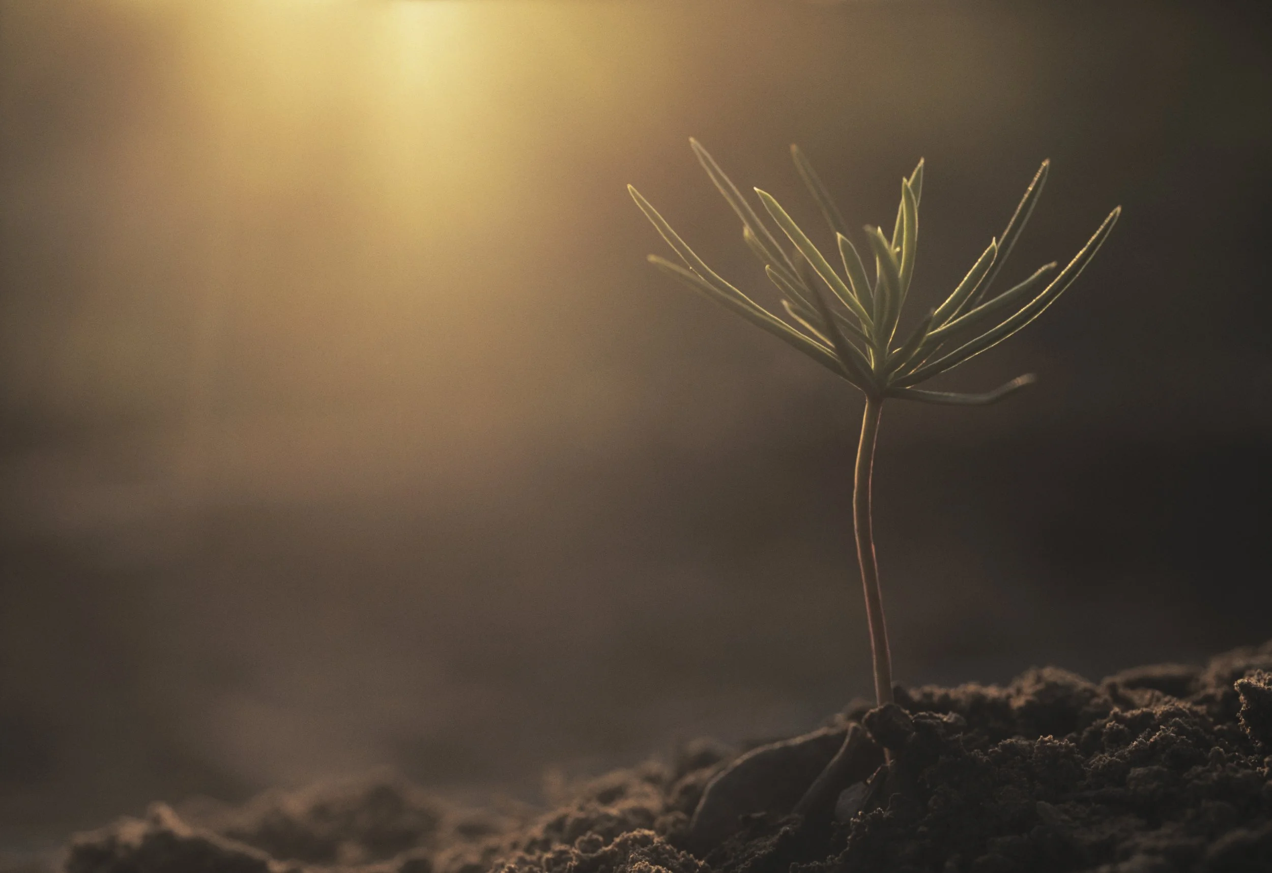 The Power of Change: You Have the Power to Change