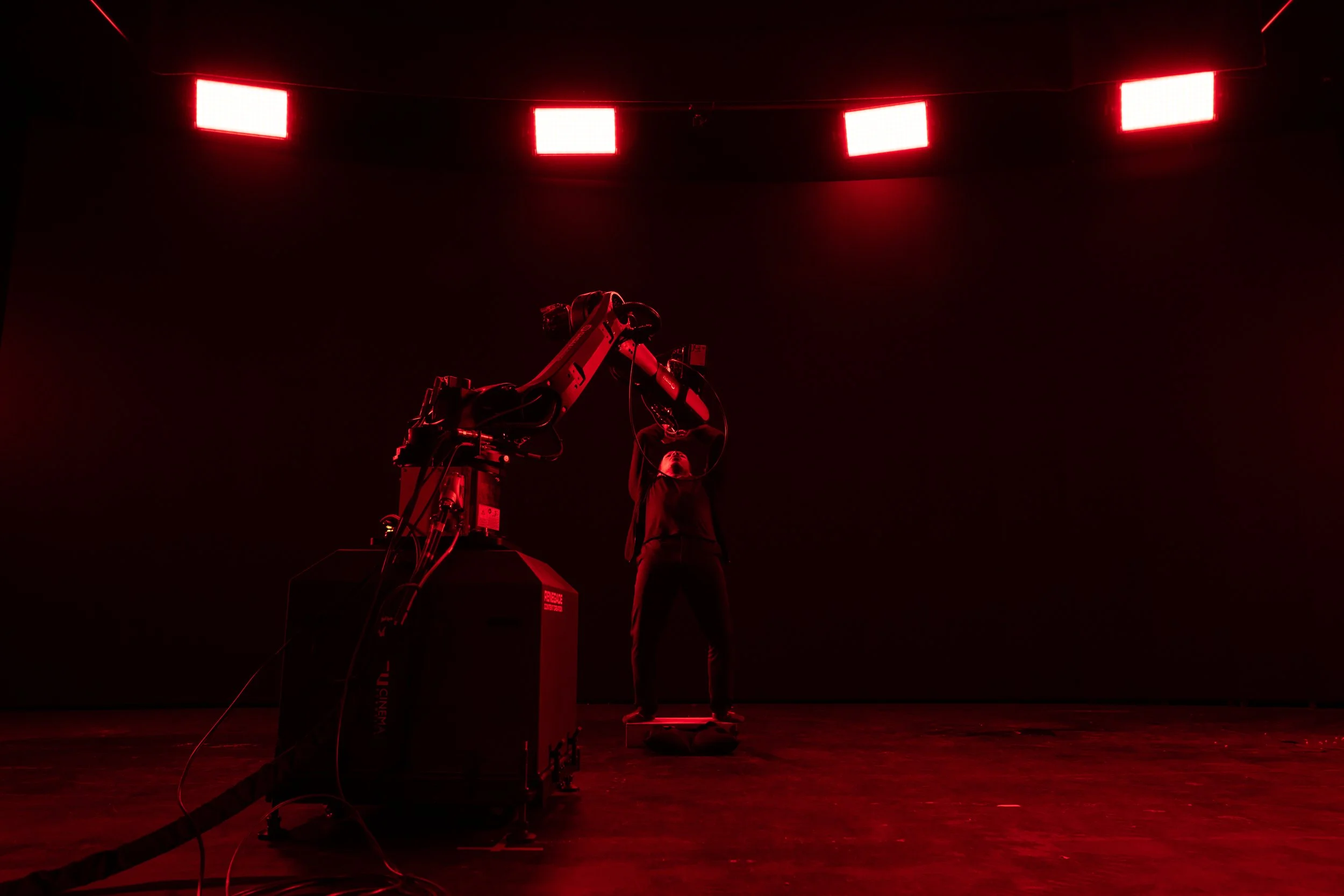 DSC01531.jpg