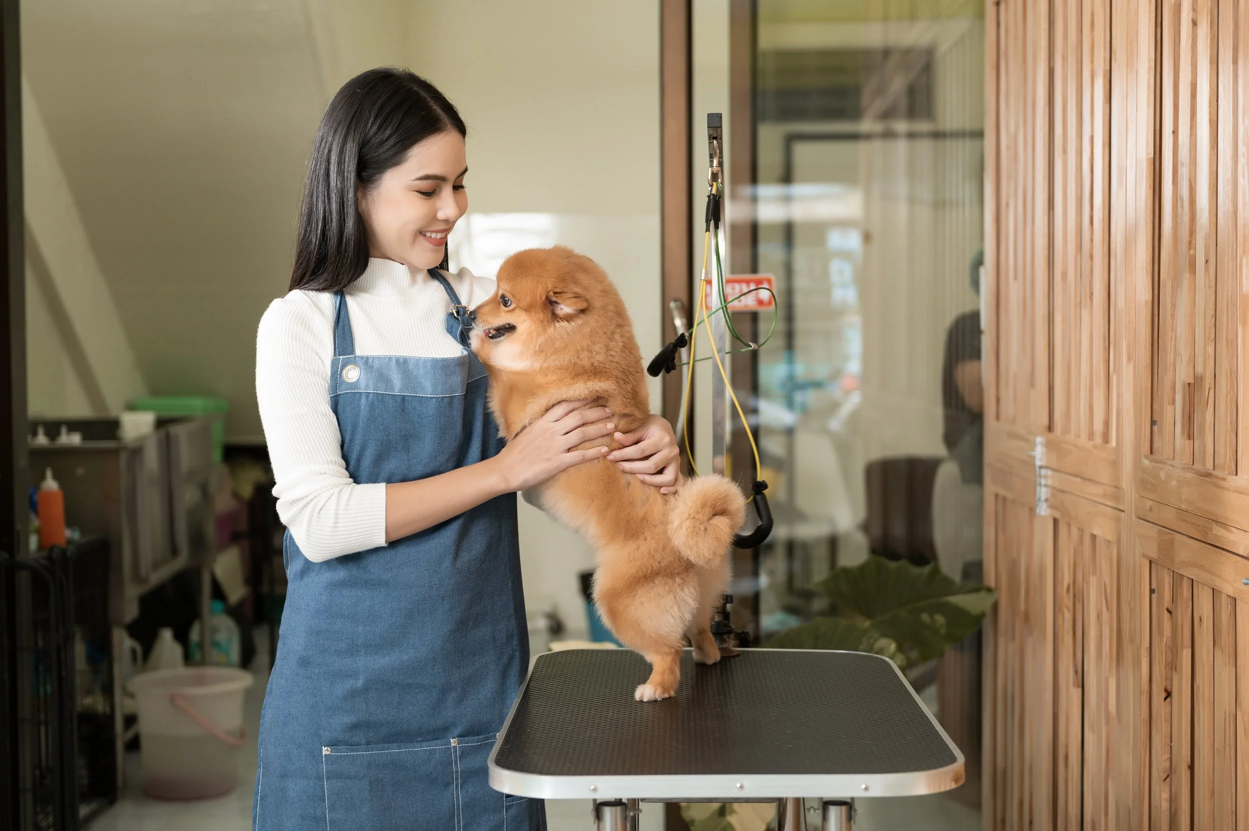 portrait-of-female-professional-groomer-at-pet-spa-2024-12-22-23-18-18-utc.jpg