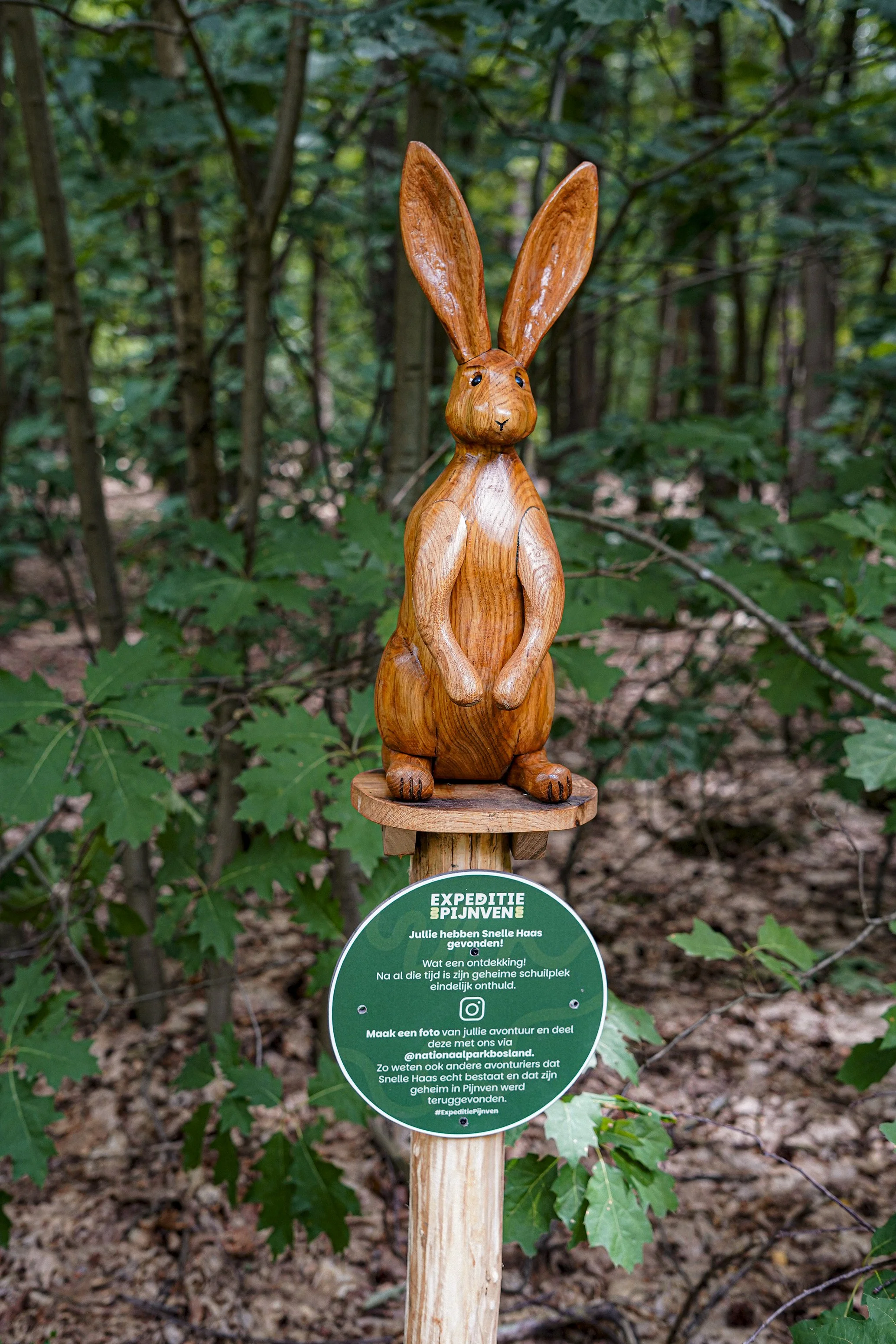 A wooden rabbit sculpture with large ears standing on a circular platform in a forest, with a green informational sign below it.