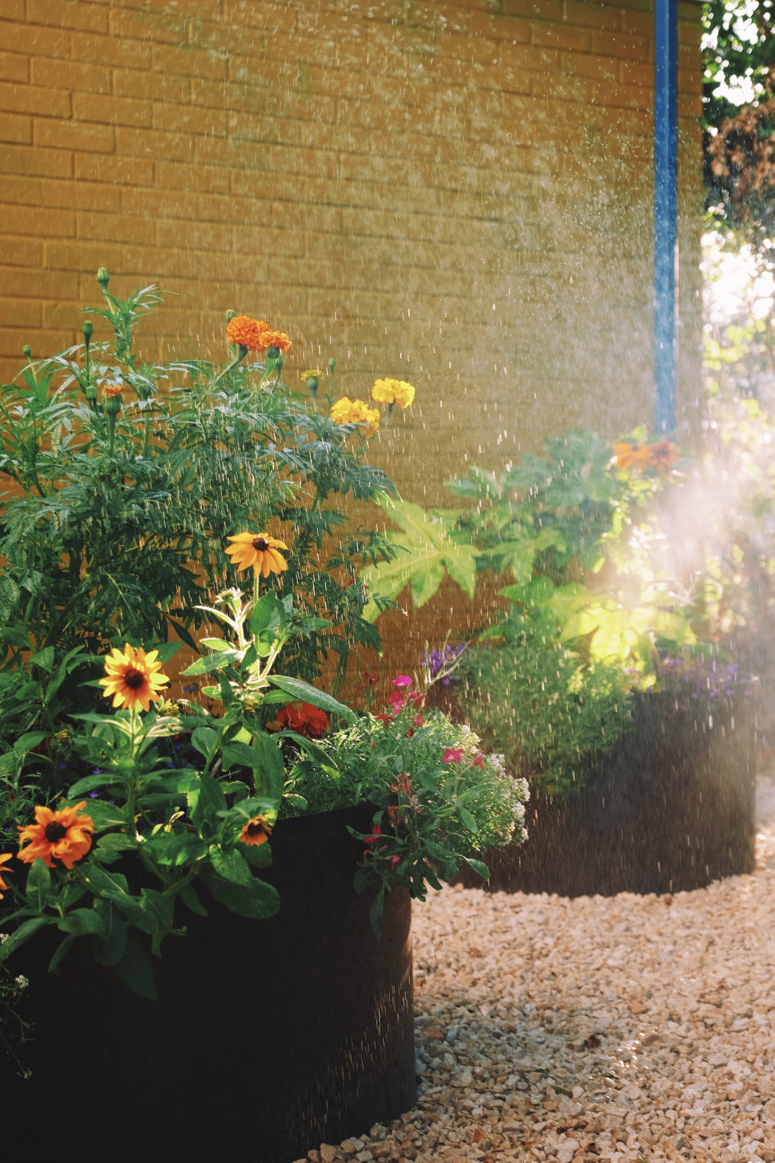 Metal Planters That Bring Structure and Style Outdoors