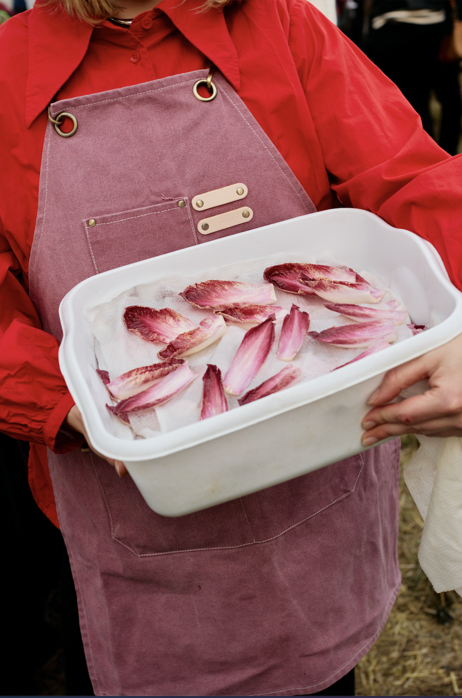 Screenshot 2026-03-03 at 15.02.09.png