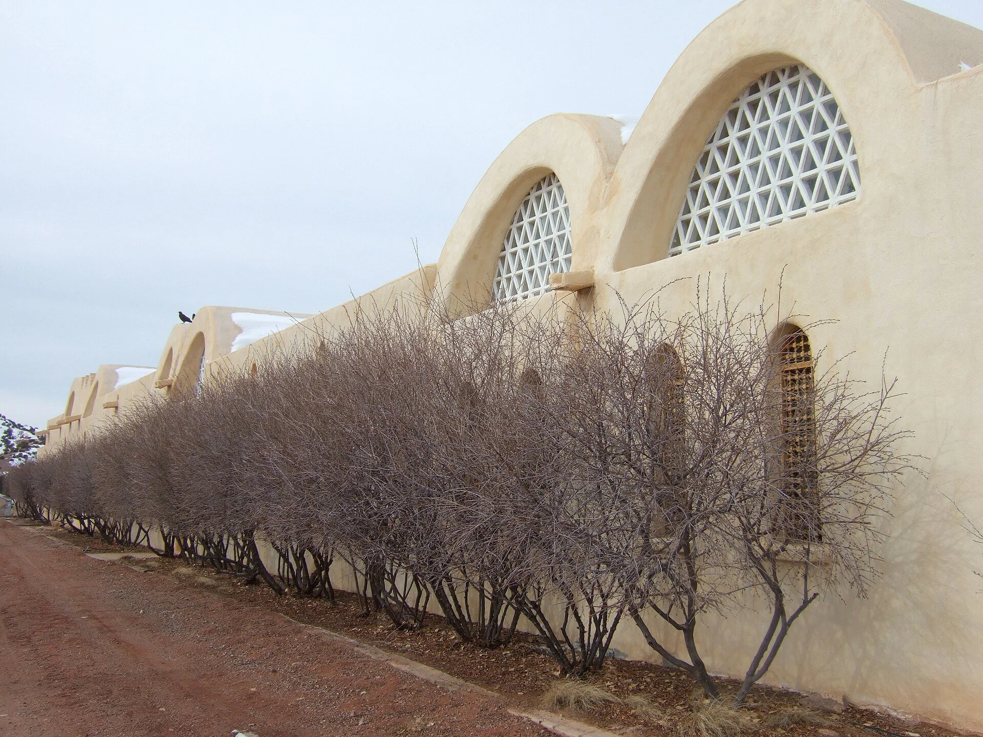  Photo by Jared Tarbell, used under CC BY 2.0. No endorsement implied. 