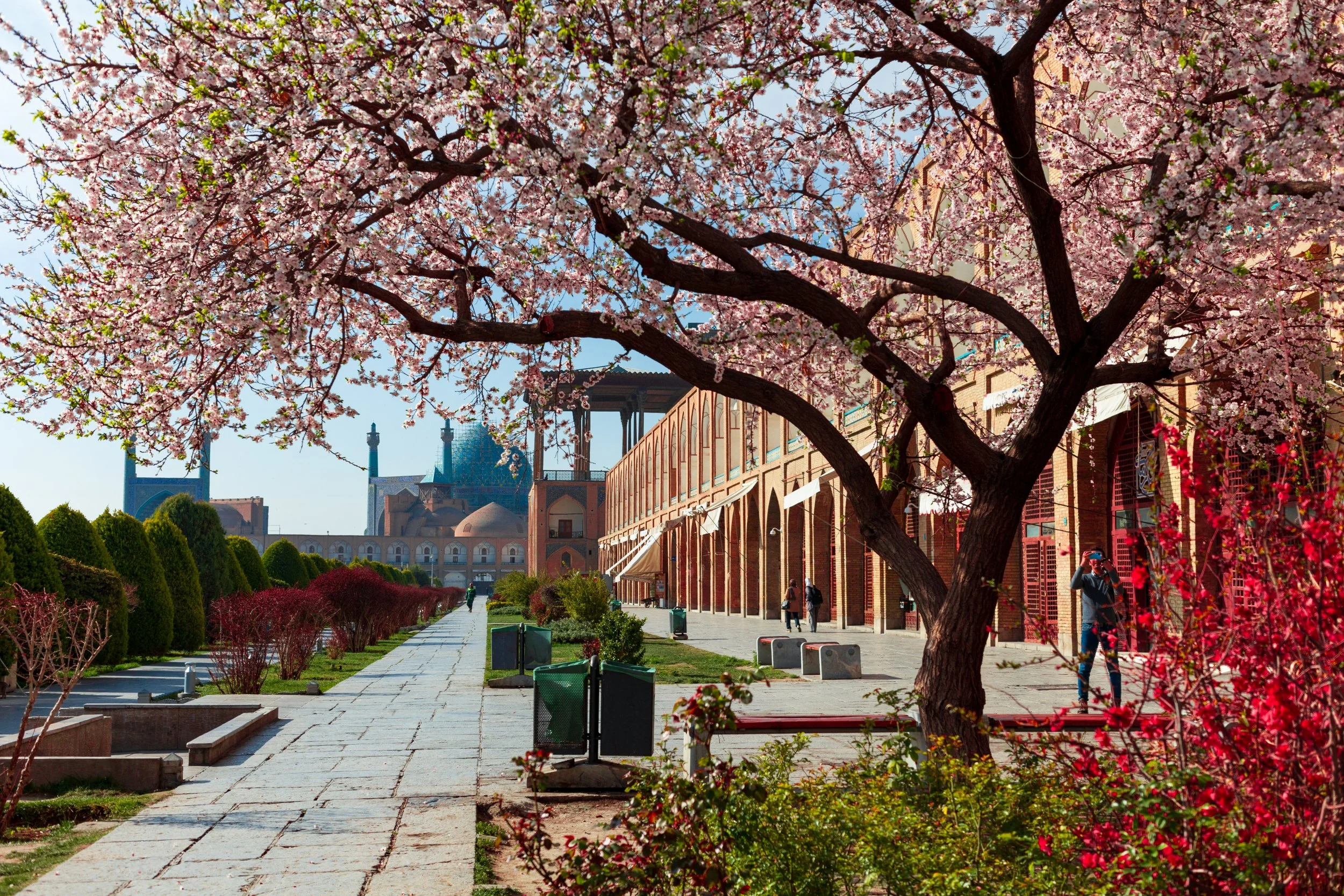  Photo by Hamidespanani, used under CC BY-SA 4.0. 