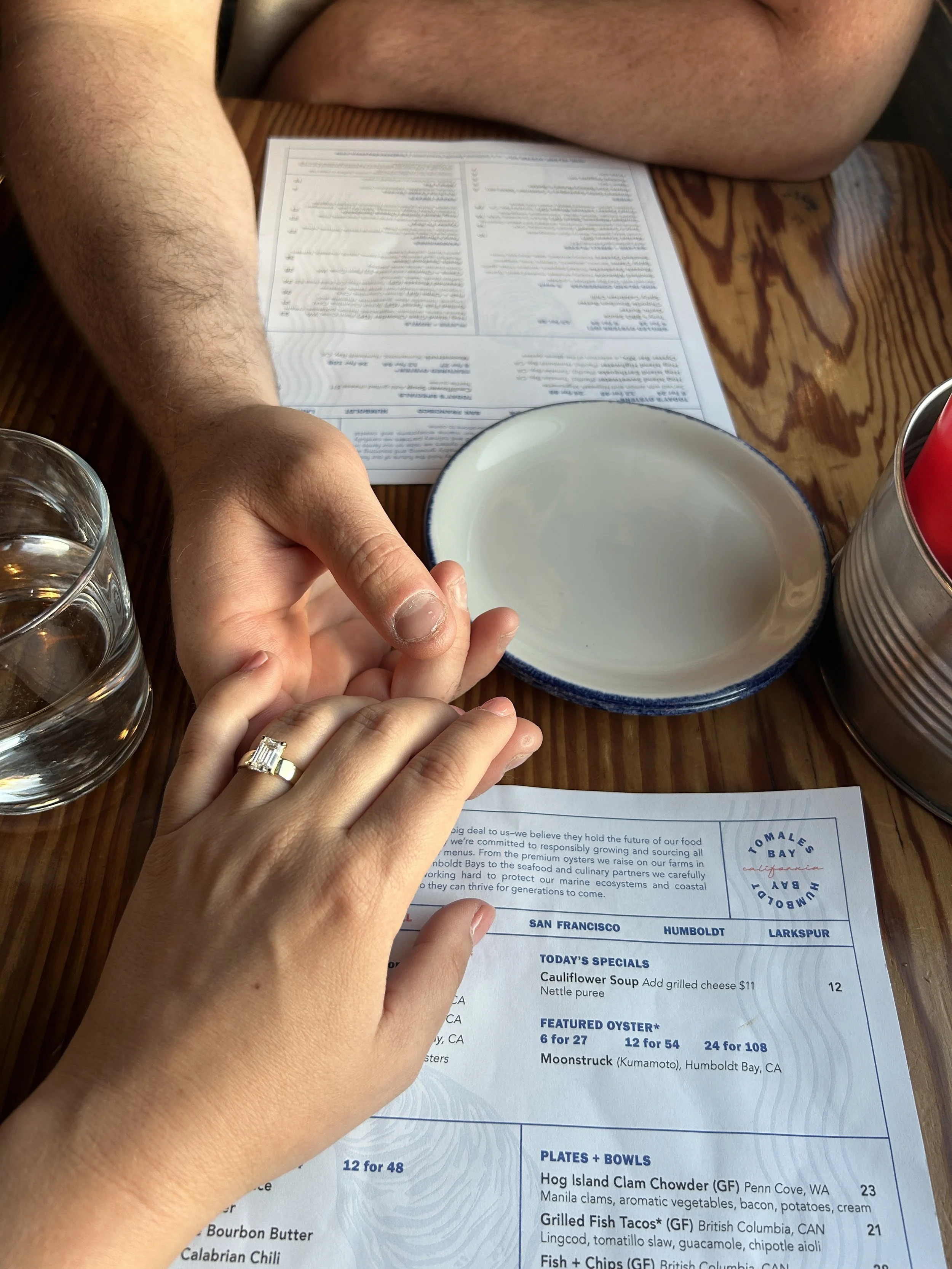 Celebrating our engagement in Pt. Reyes