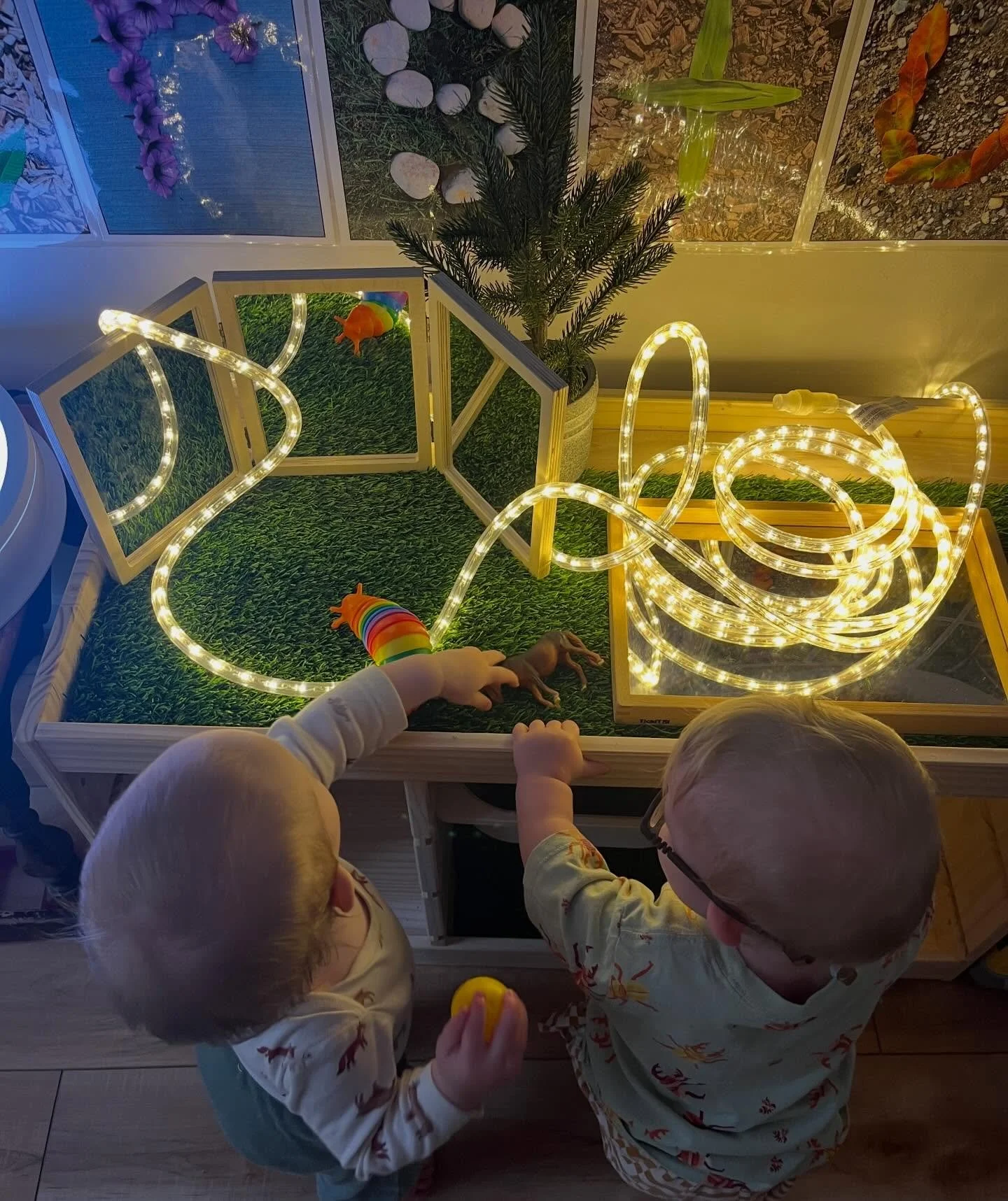 Discovering the magic of light in our classroom! How do different objects interact with the light? 💡