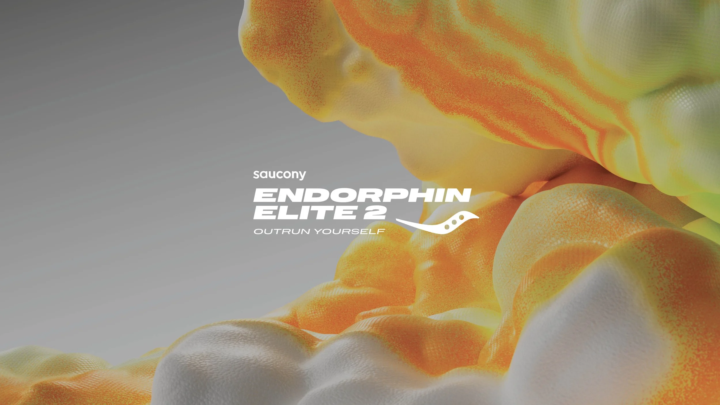 Saucony_FW225_Endorphin Elite 2_Tooklkit.jpg